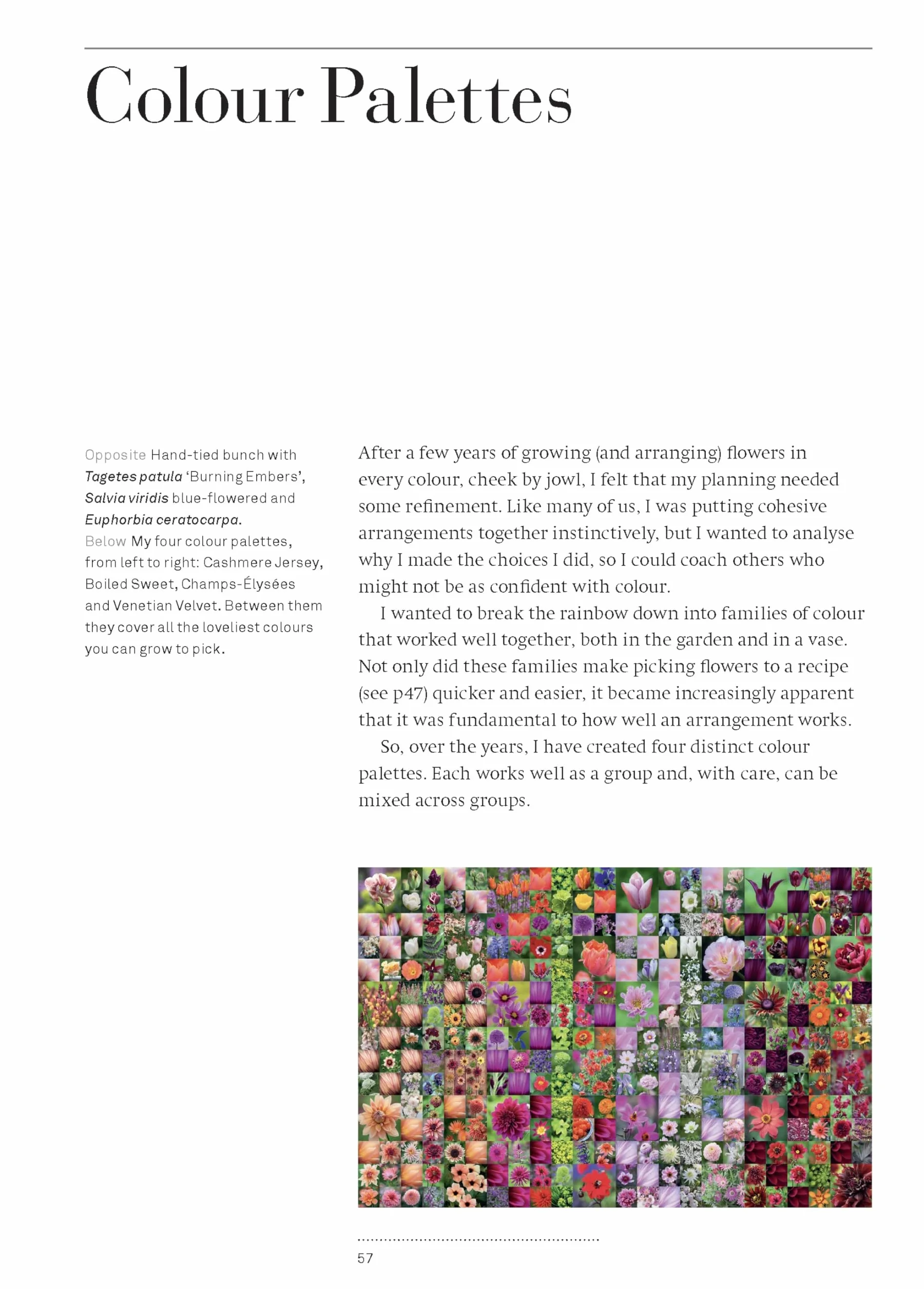 A Year of Cut Flowers: A life of growing and arranging for all seasons