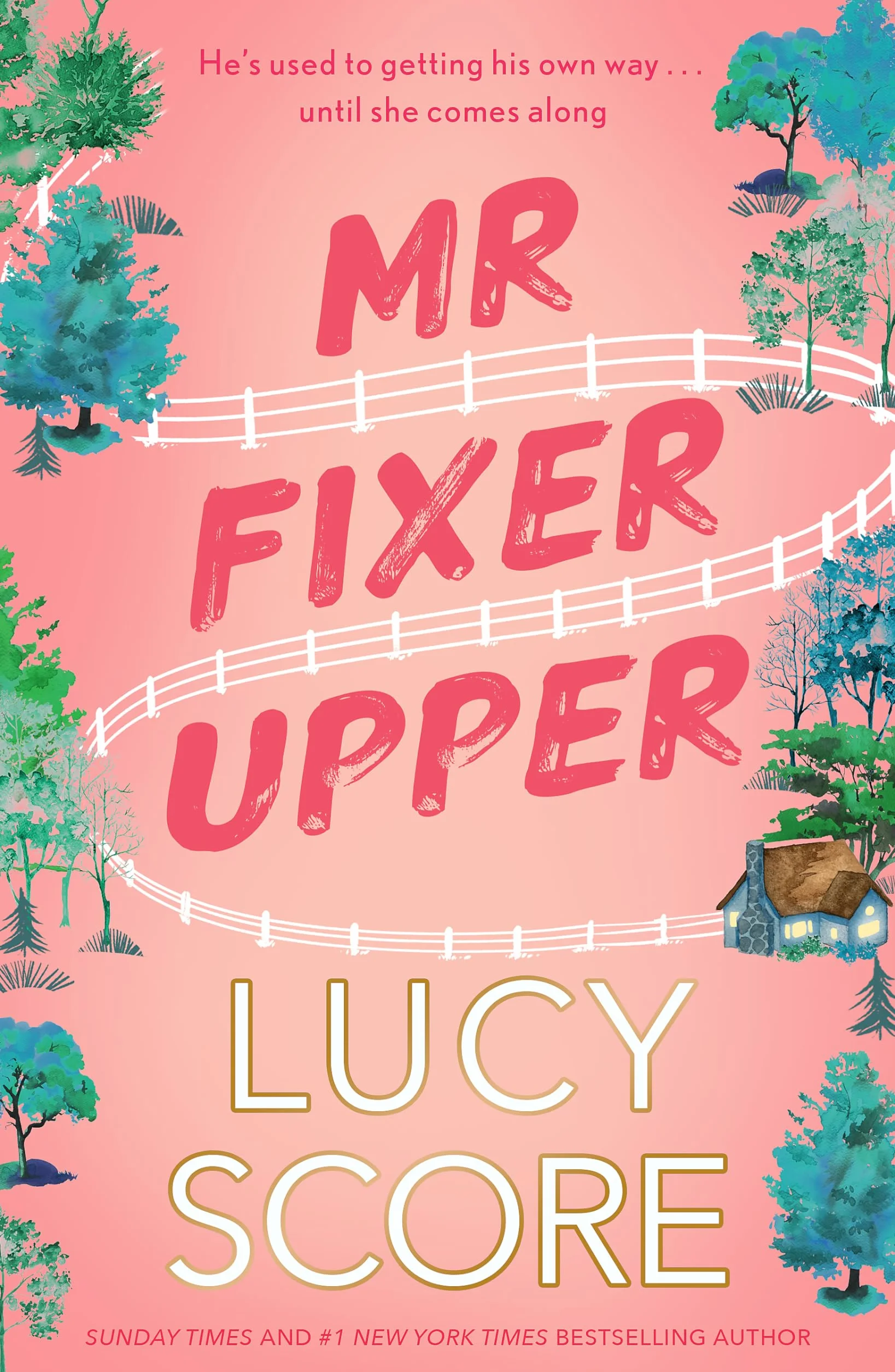 Mr Fixer Upper: New Romance from 2023 Bestselling Tiktok Sensation