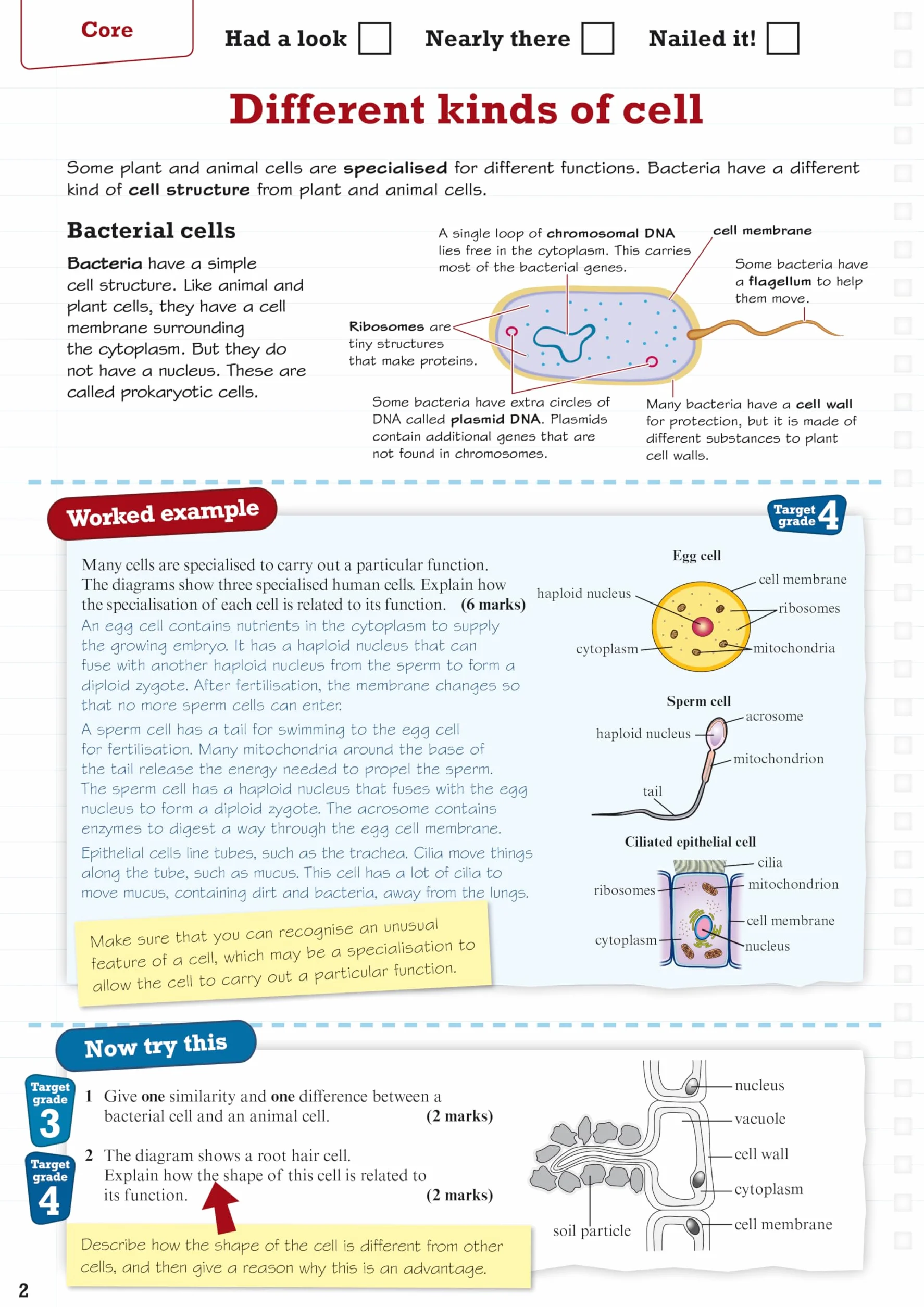 Revise Edexcel GCSE (9-1) Biology Higher Revision Guide: (with free online edition)