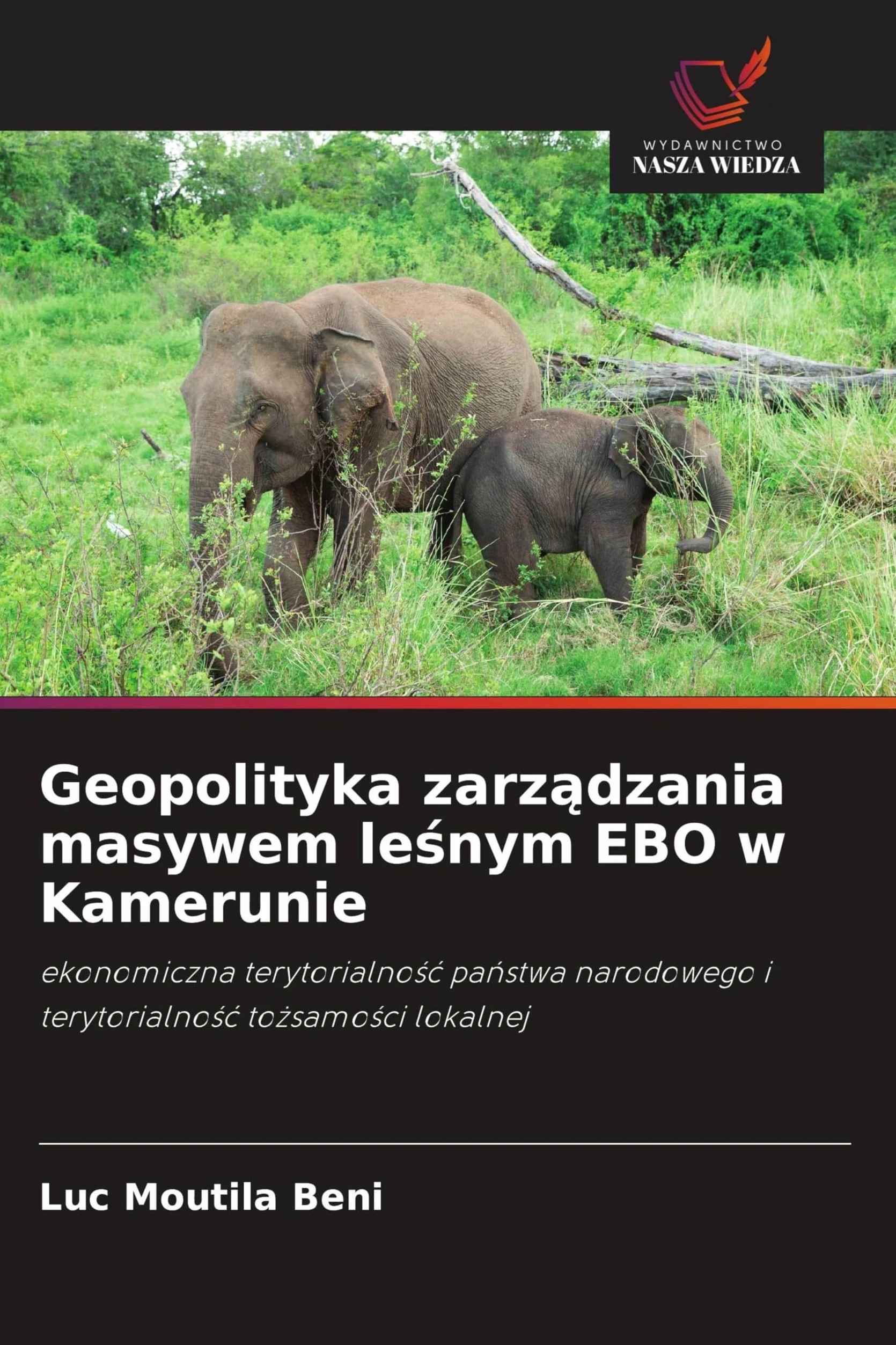 Geopolityka zarz¿dzania masywem le¿nym EBO w Kamerunie: ekonomiczna terytorialno¿¿ pa¿stwa narodowego i terytorialno¿¿ to¿samo¿ci lokalnej