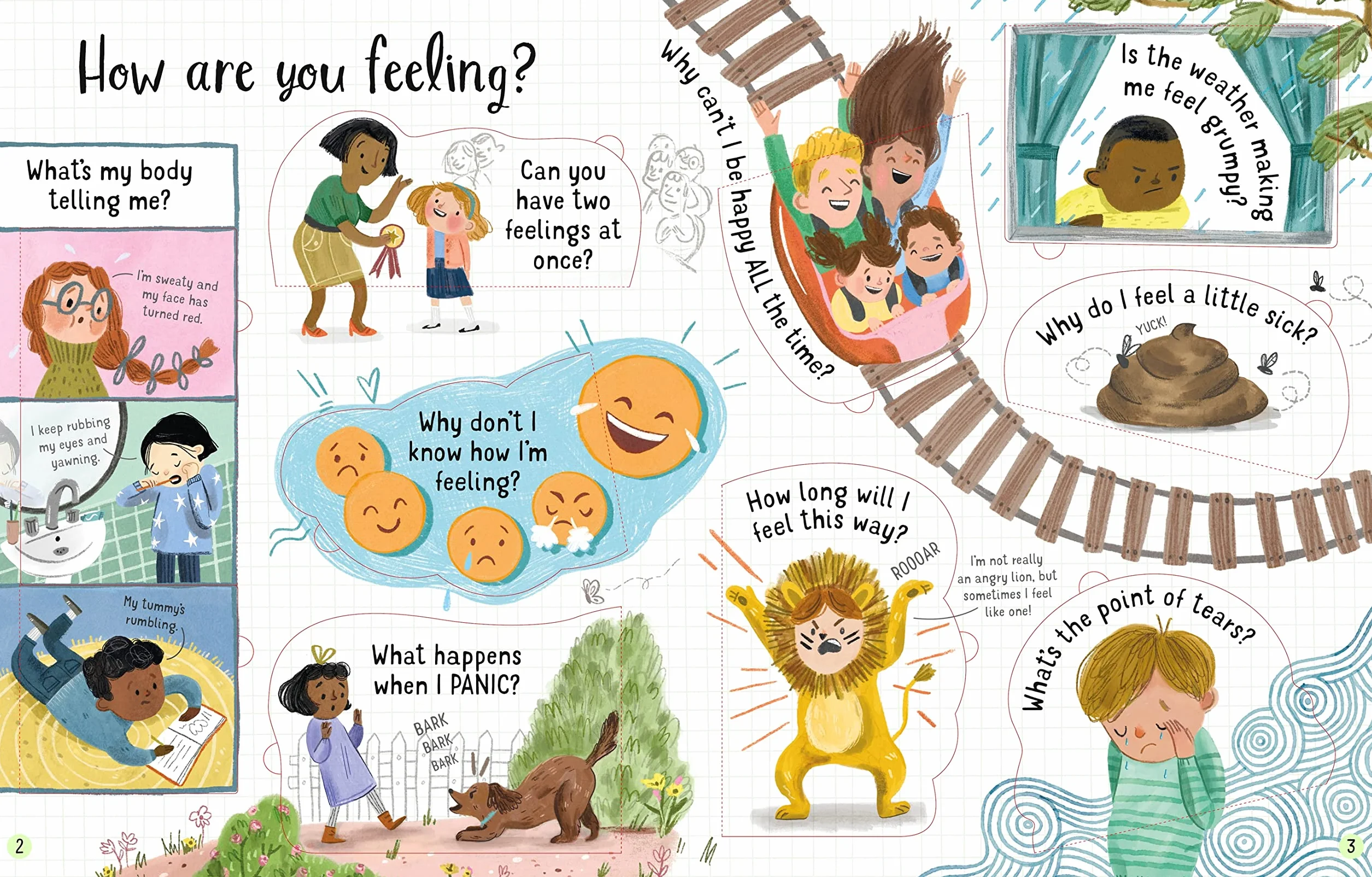 Lift-the-Flap Questions and Answers About Feelings