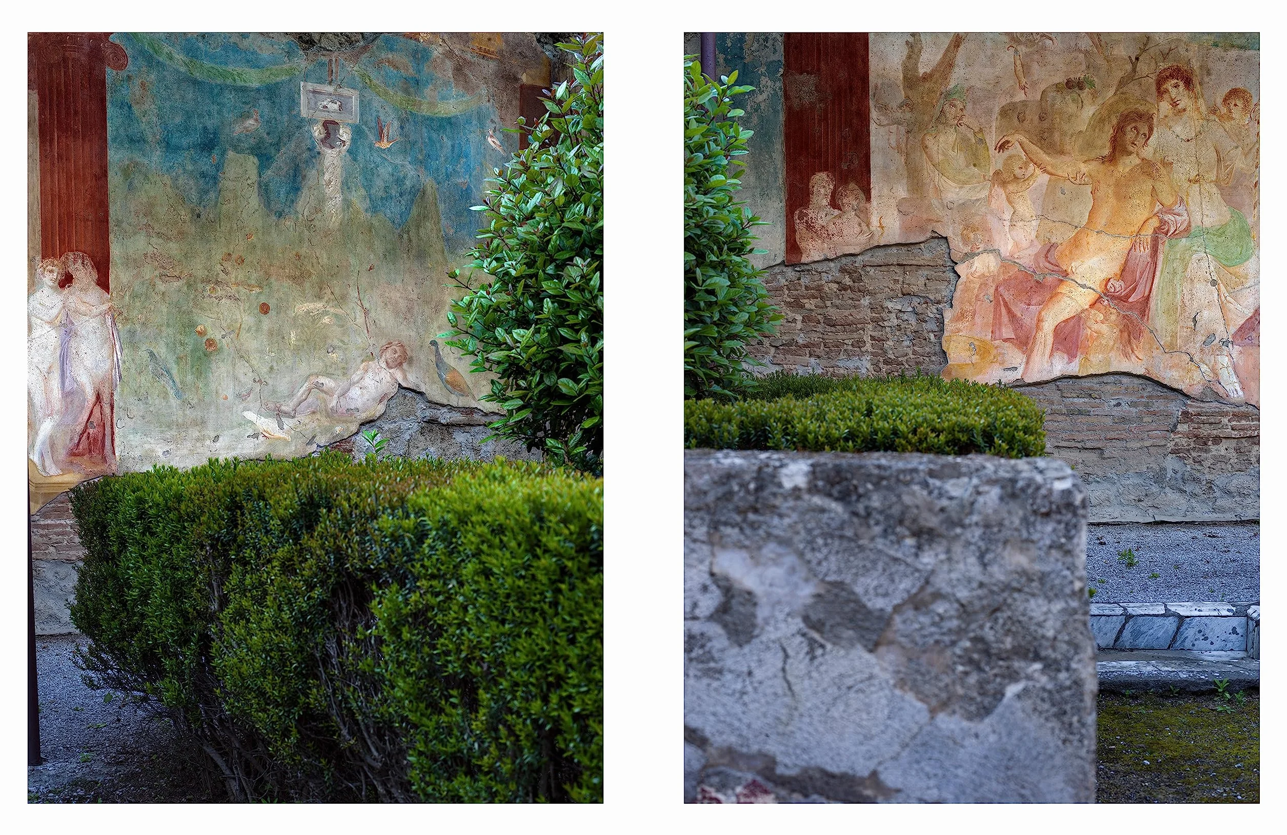Luigi Spina Inside Pompeii /anglais