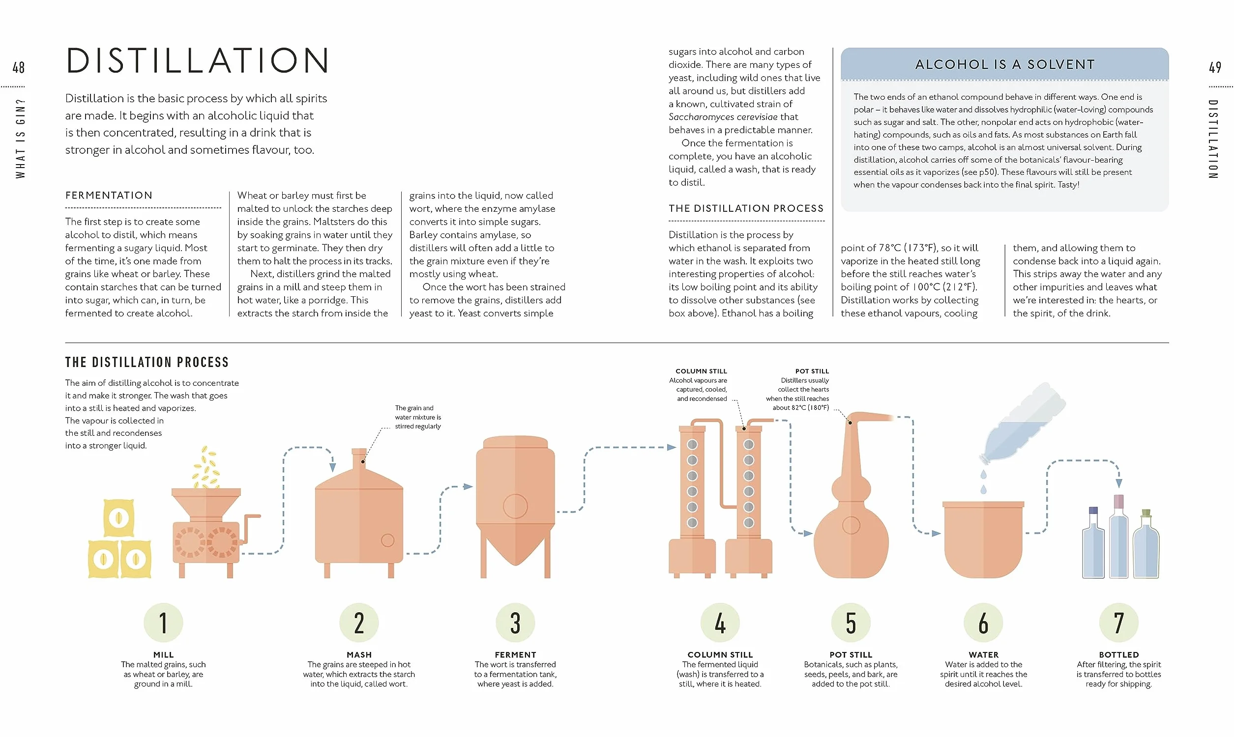 Gin A Tasting Course: Flavour-focused Approach to the World of Gin