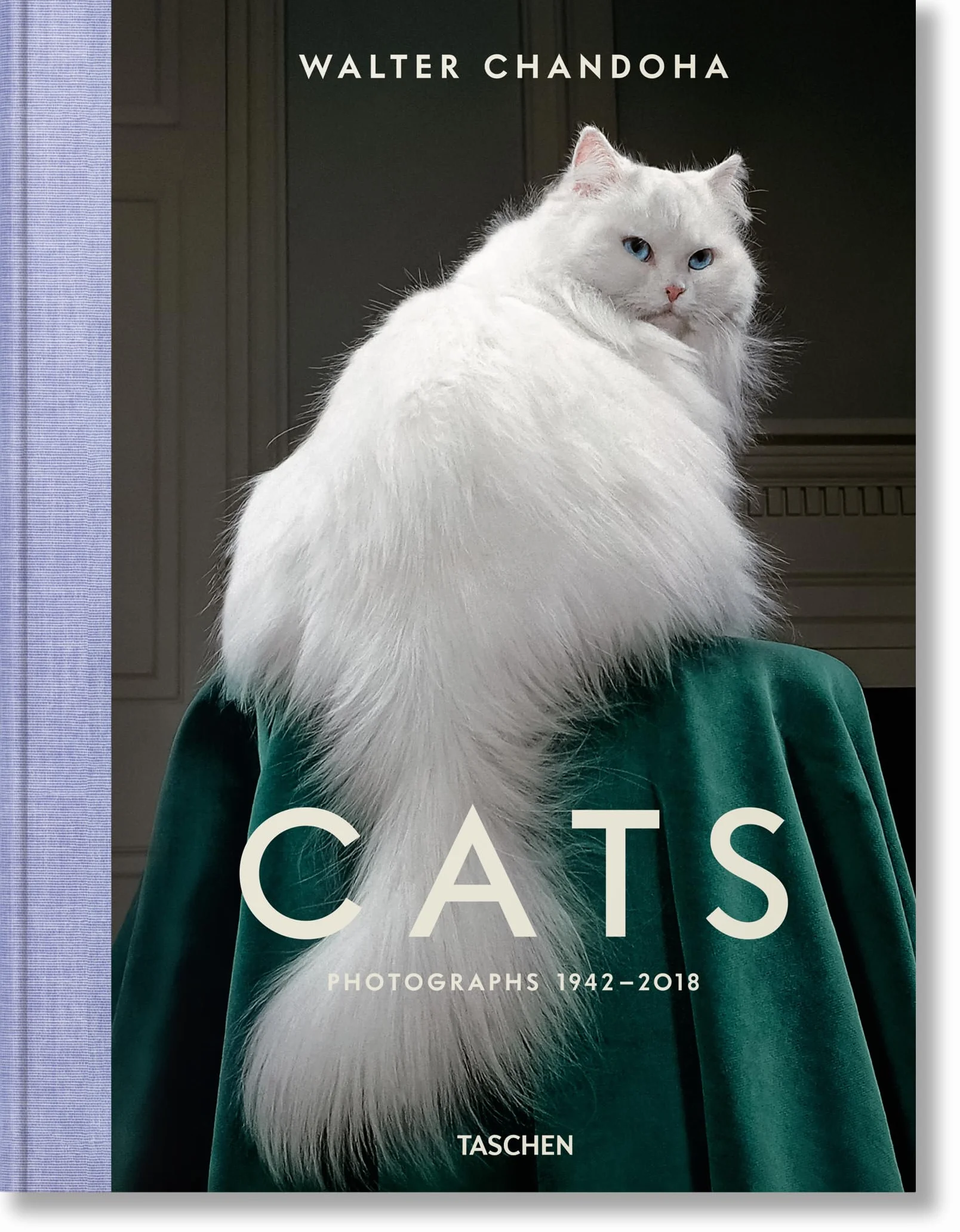 Cats Photographs 1942-2018