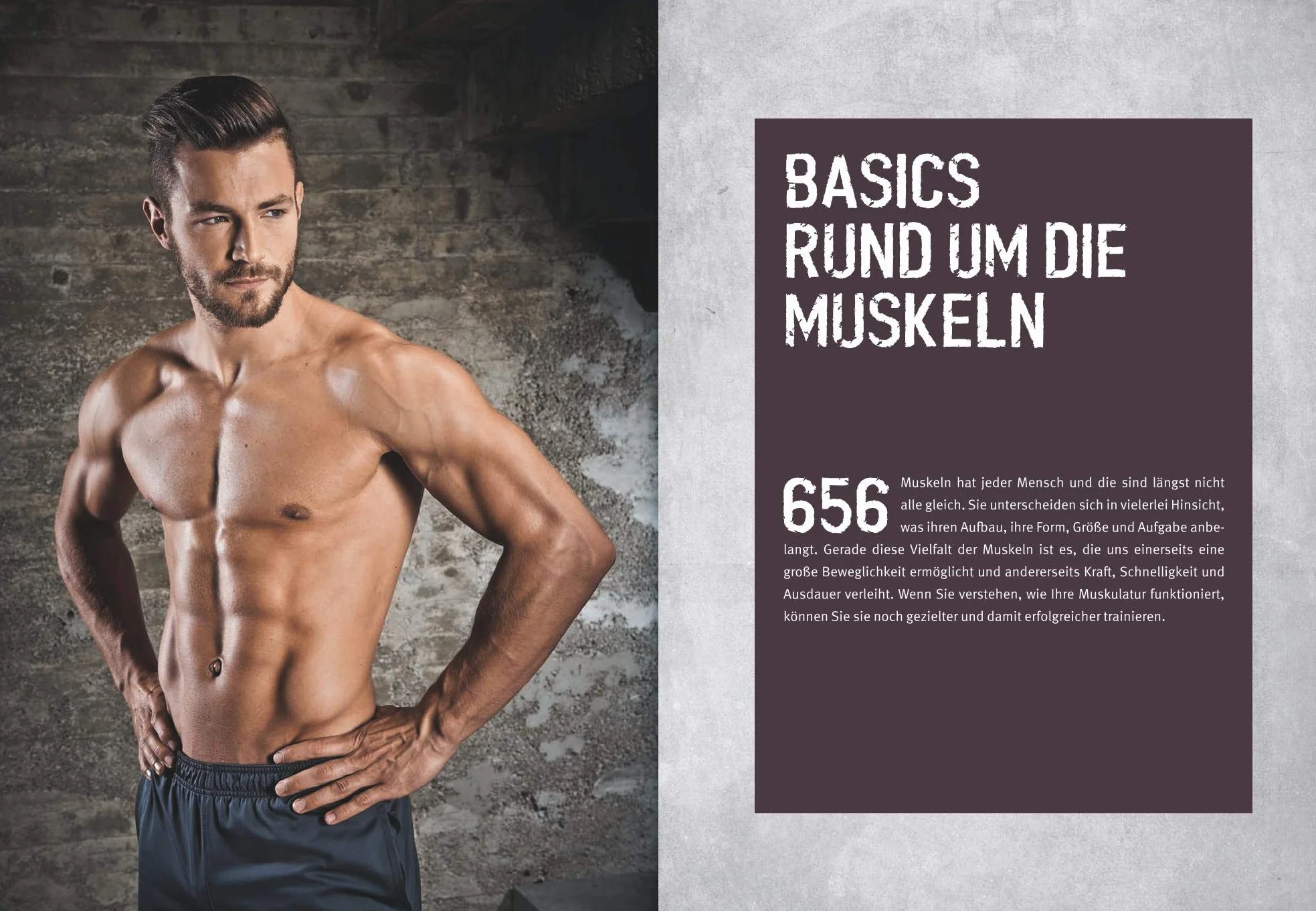 Das Muskel-Workout: 100 Übungen ohne Geräte