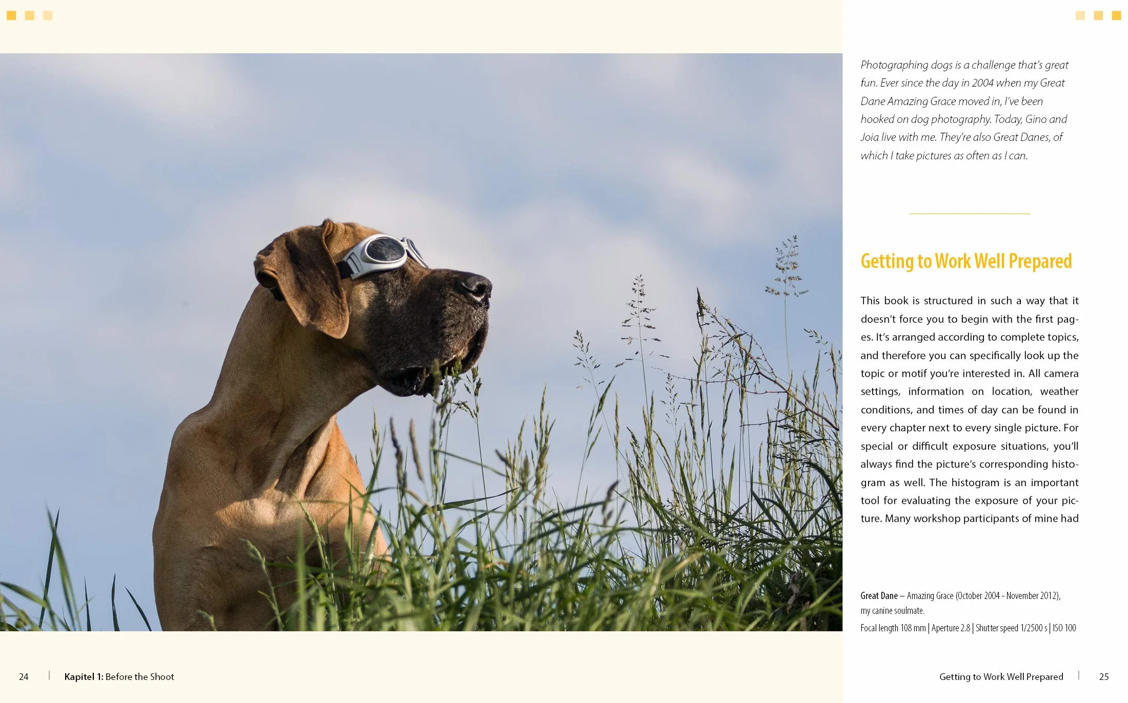 Dog Photography Shooting with Bow Wow Effect