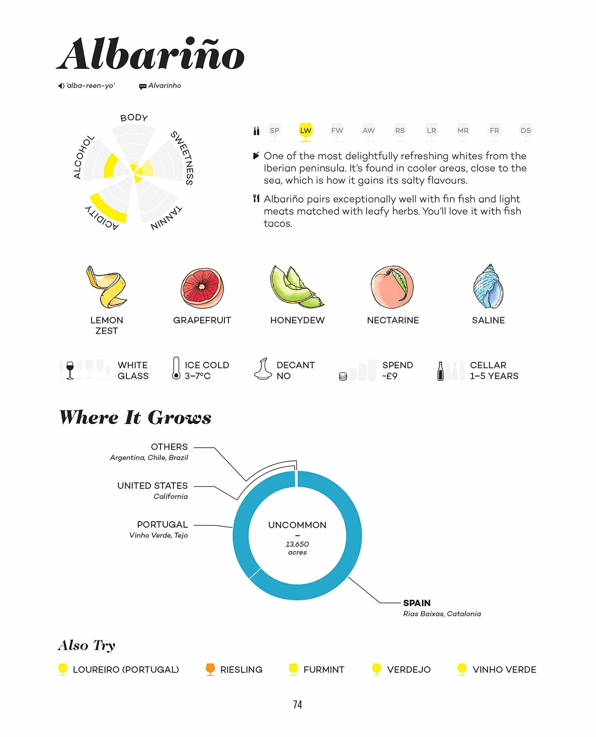 Wine Folly Magnum Edition: The Master Guide