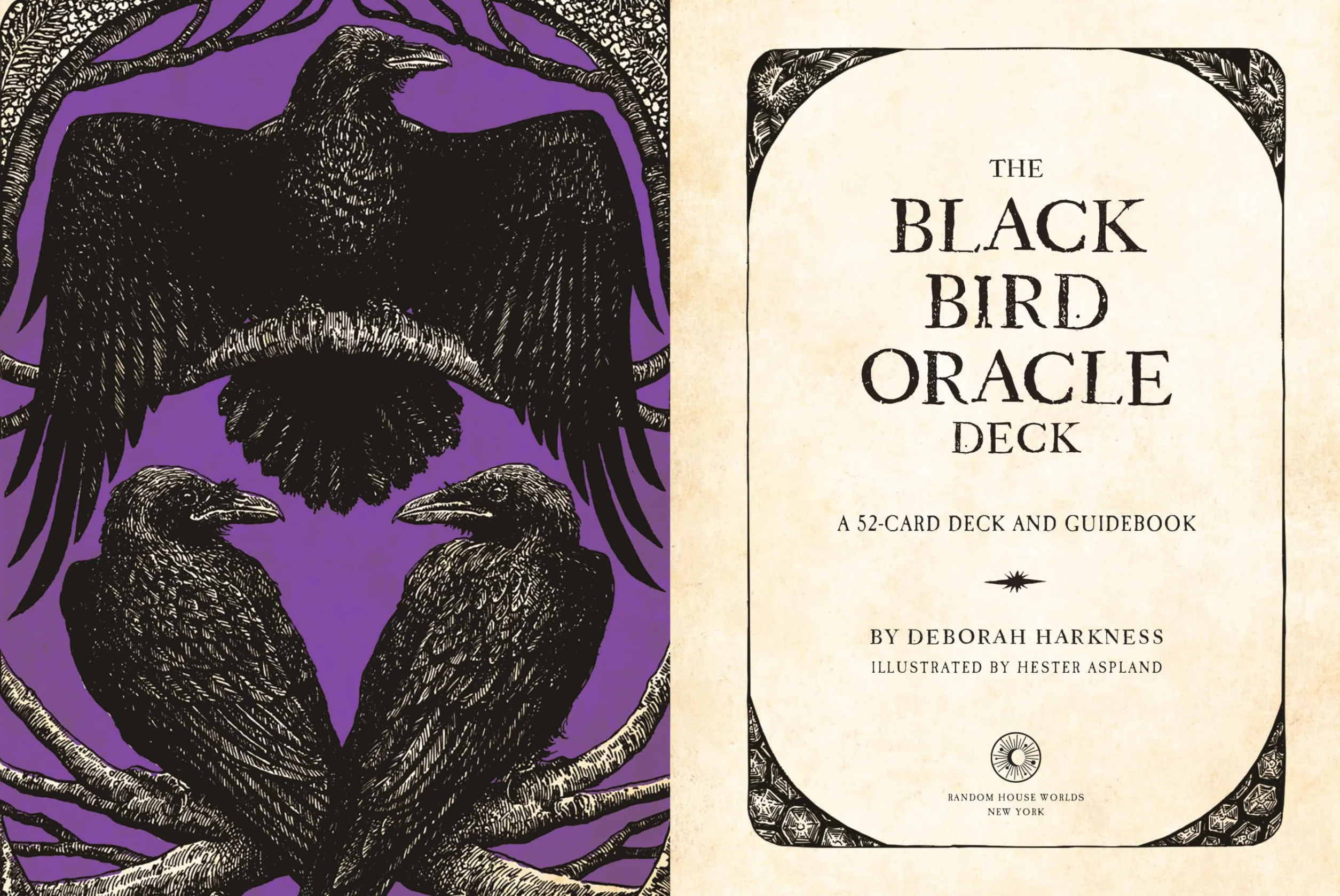 The Black Bird Oracle Deck: 52-Card Deck and Guidebook