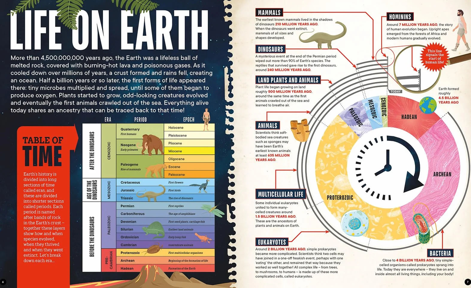 Factology: Dinosaurs: Open Up a World of Information!