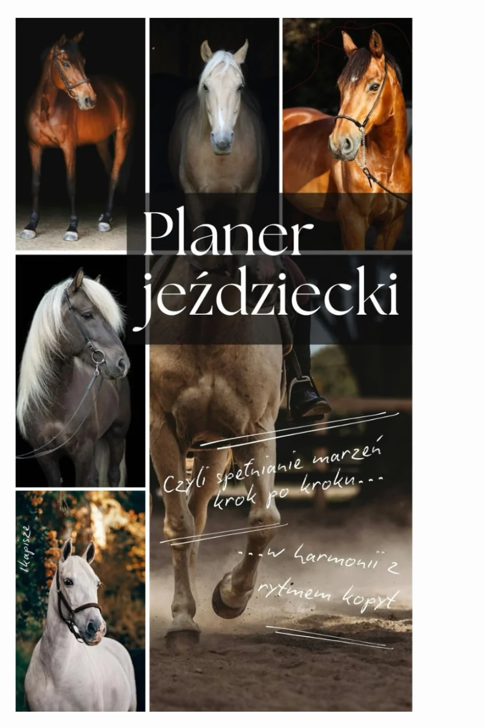 Planer jeździecki dla miłośników koni | Organizer koniary