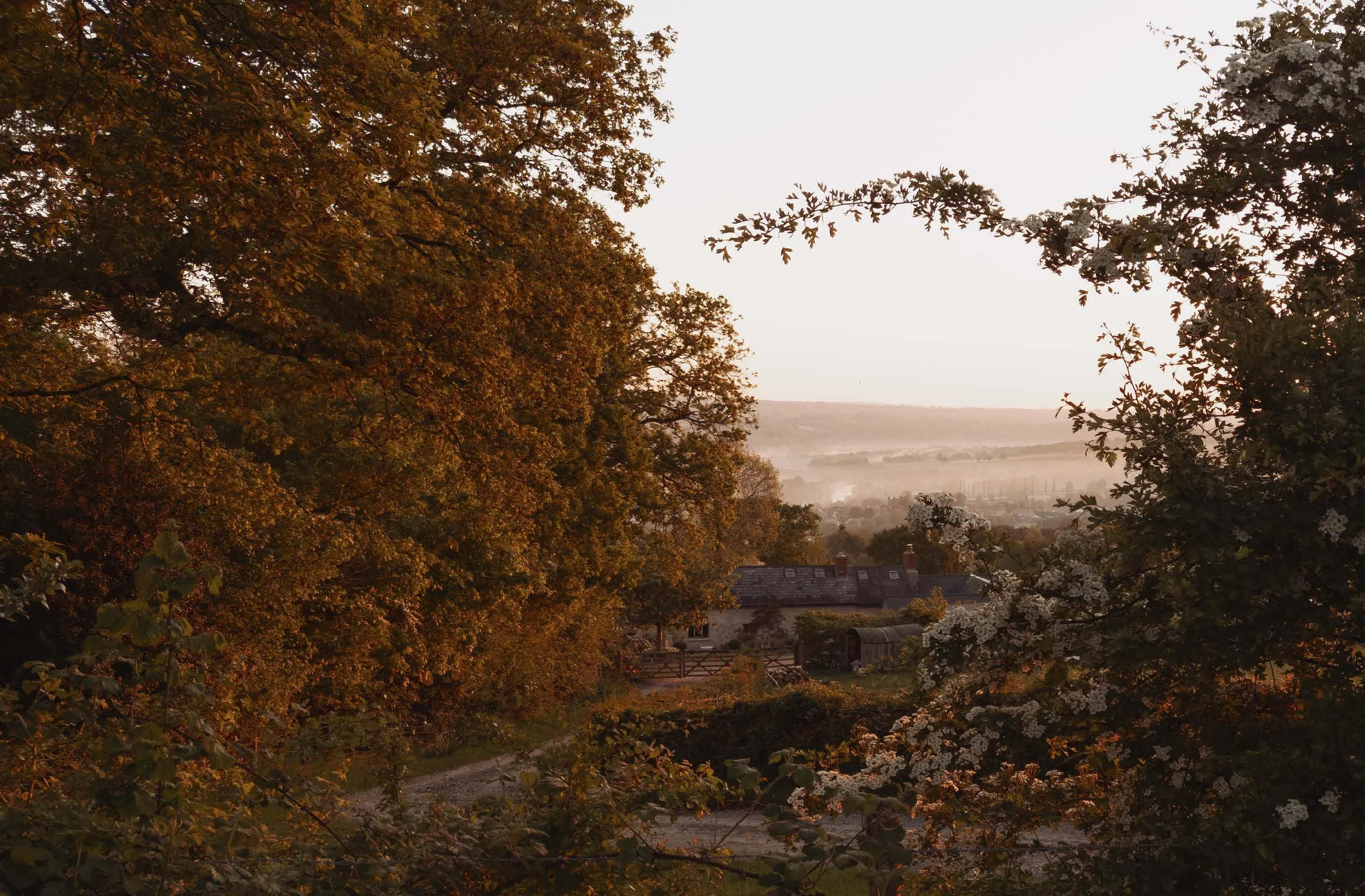 Life Inside a Cottage: Interior inspiration from today's cottage dwellers