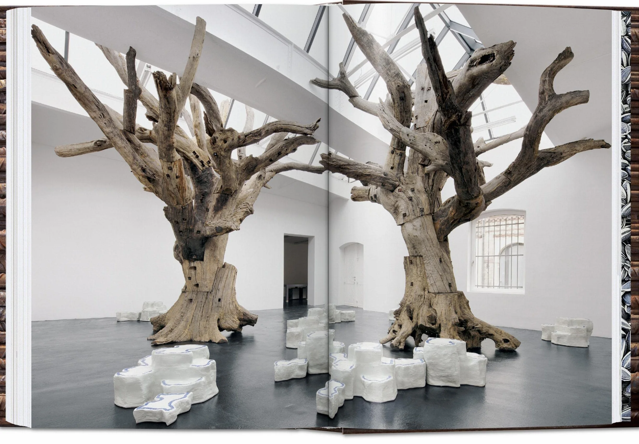Ai Weiwei: 40th Ed.