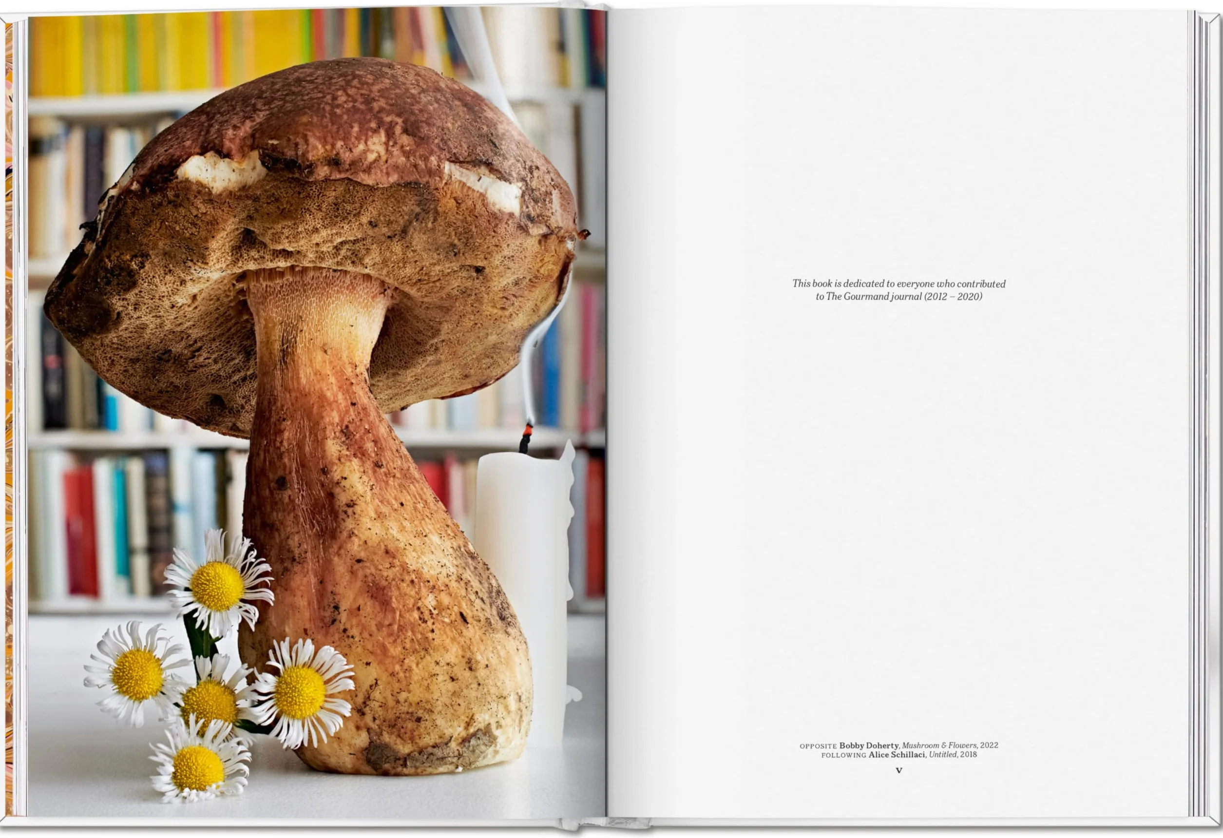 The Gourmand's Mushroom: A Collection of Stories & Recipes