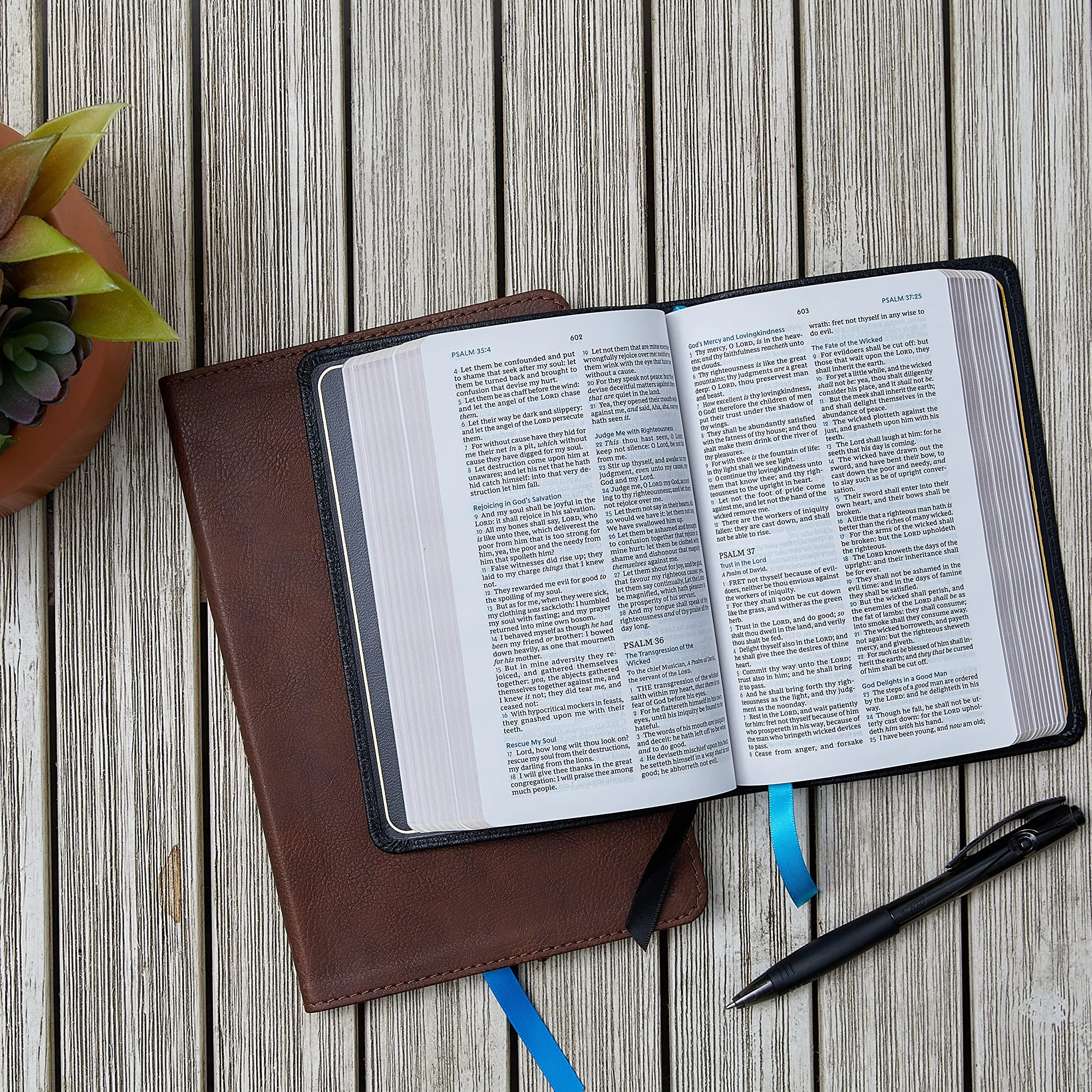 Nkjv, Compact Bible, MacLaren Series, Leathersoft, Brown, Comfort Print: Holy Bible, New King James Version