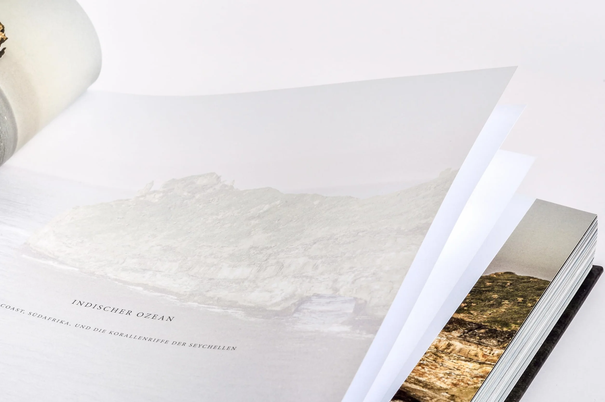 Wilder Ozean: Eine Reise in die ungezähmte Natur der Weltmeere. Opulenter Coffee-Table-Band mit über 200 faszinierenden Fotografien