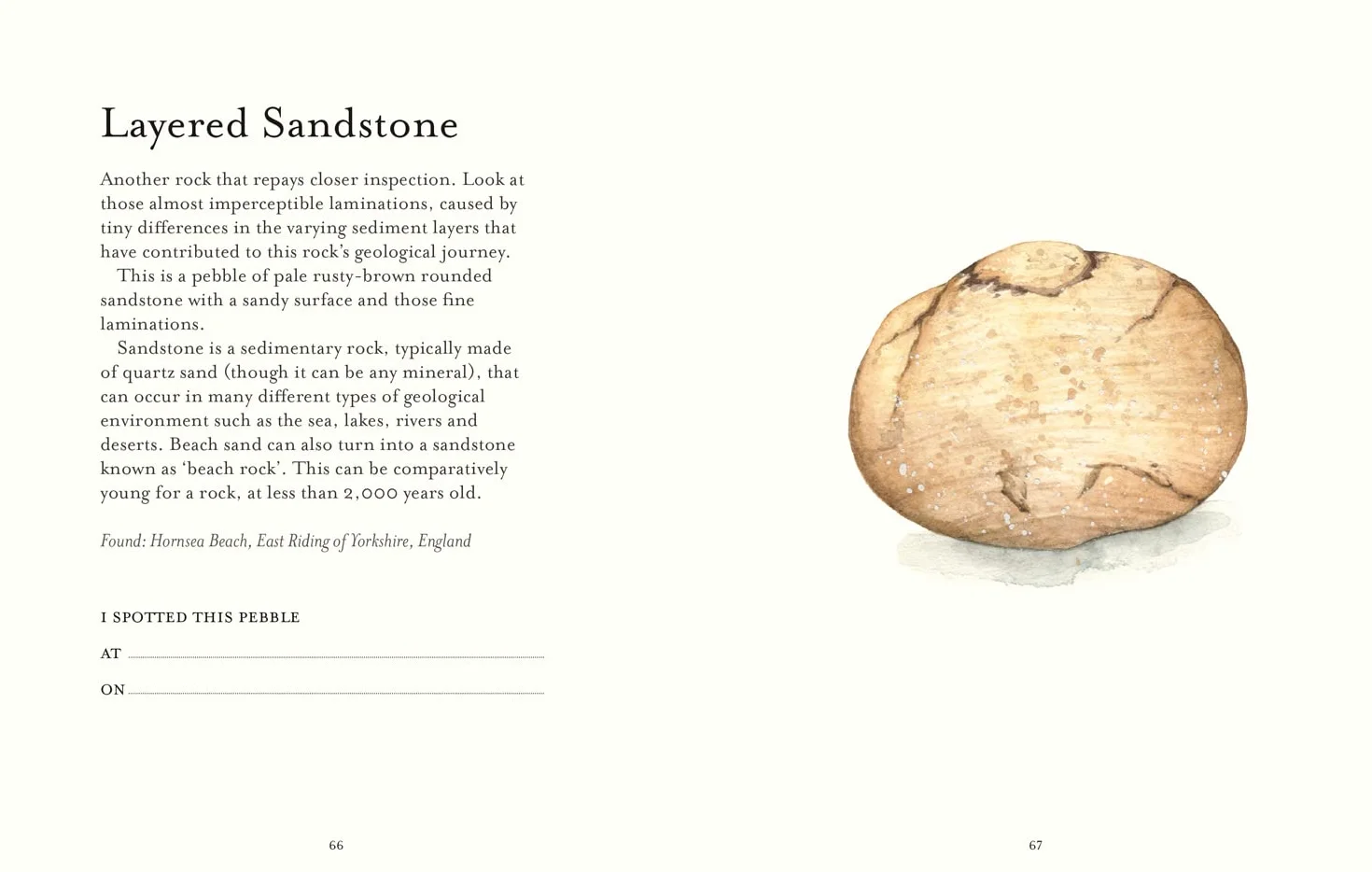 The Pebble Spotter's Guide