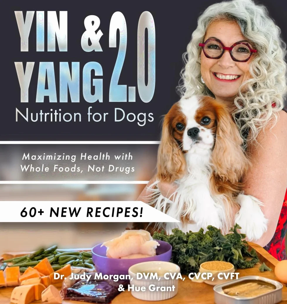 Yin & Yang 2.0 Nutrition for Dogs: Maximizing Health with Whole Foods, Not Drugs