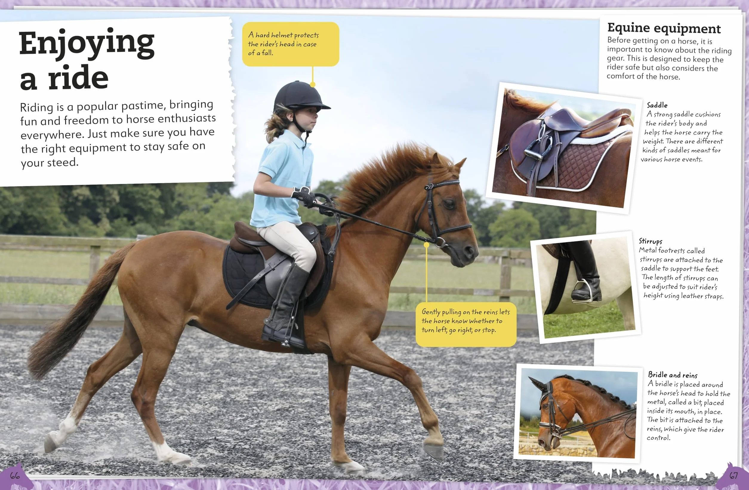 My Book of Horses and Ponies: Fact-Filled Guide to Equine Friends
