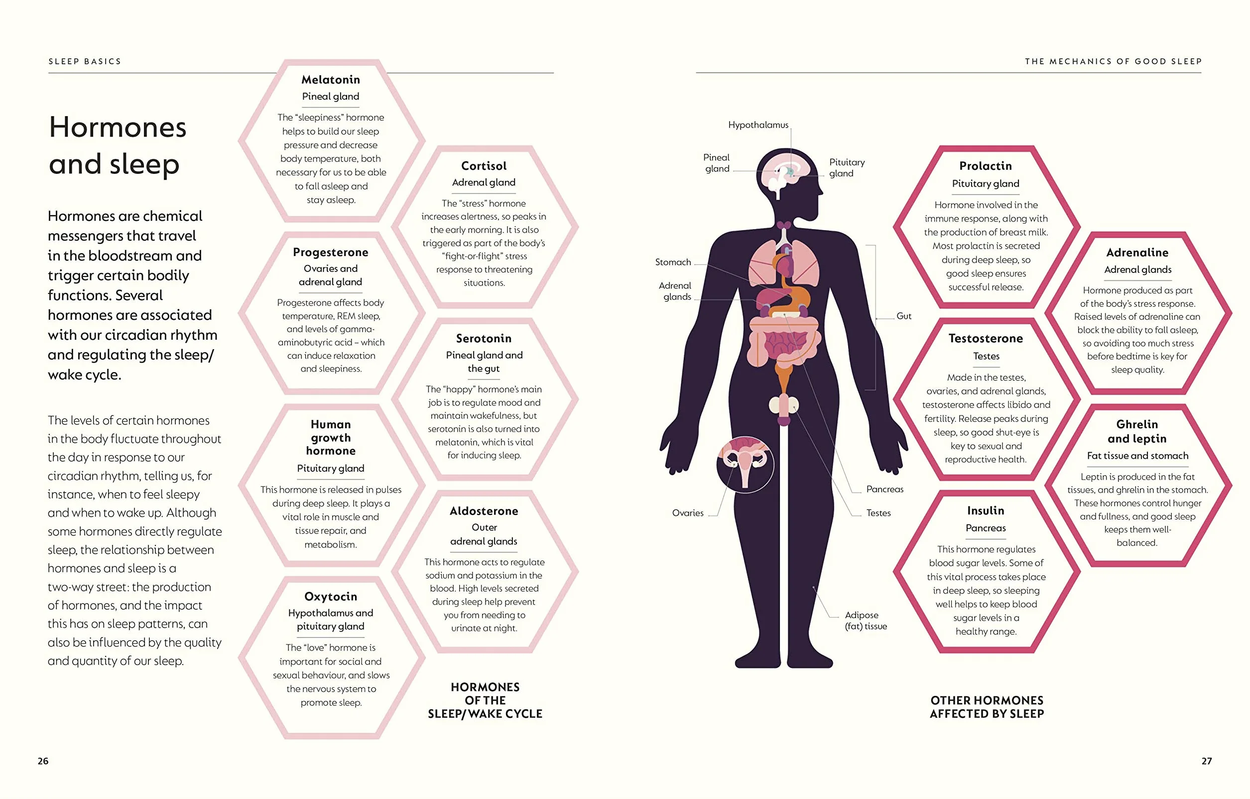 The Science of Sleep: Stop Chasing a Good Night’s Sleep and Let It Find You