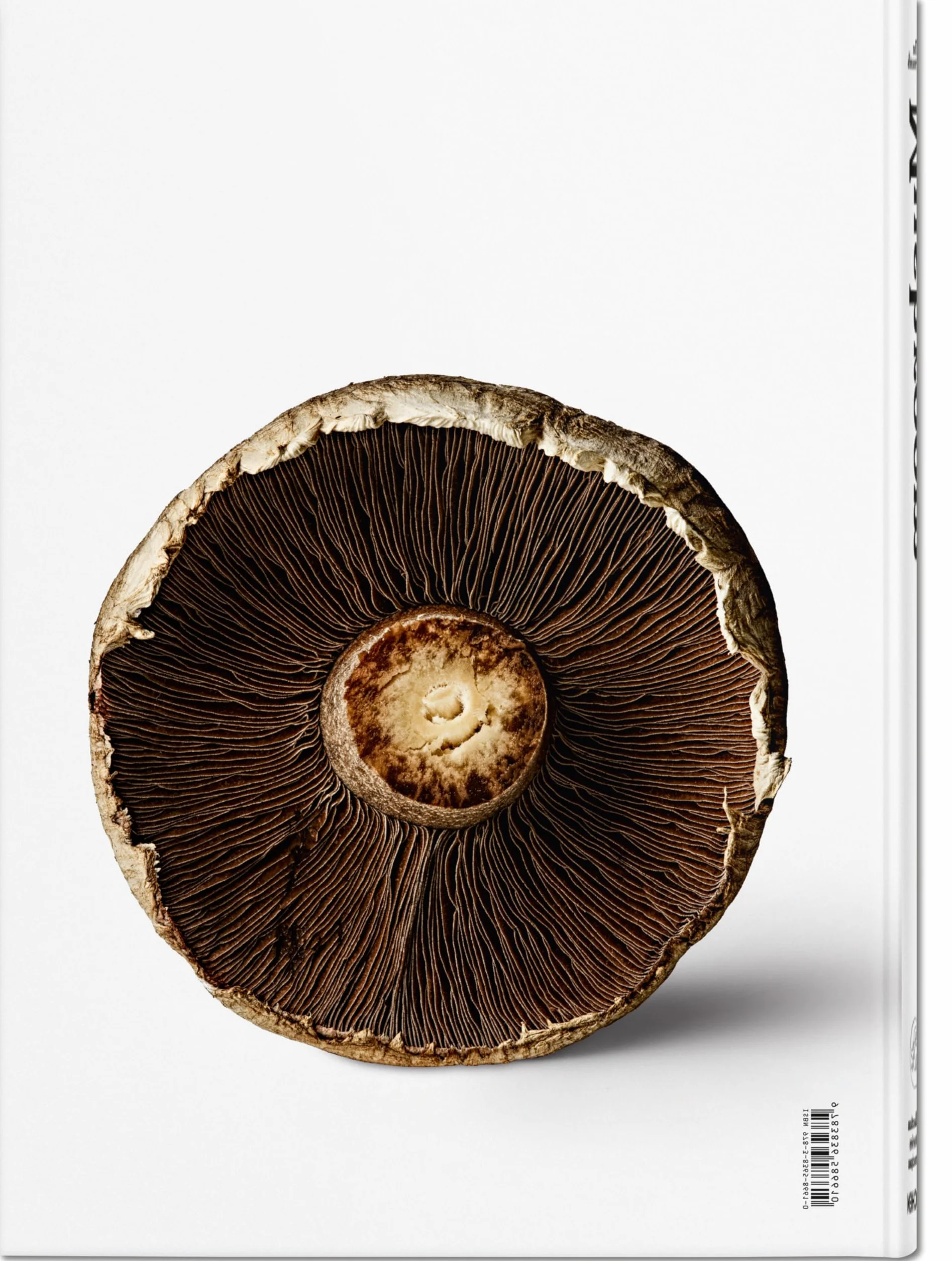 The Gourmand's Mushroom: A Collection of Stories & Recipes