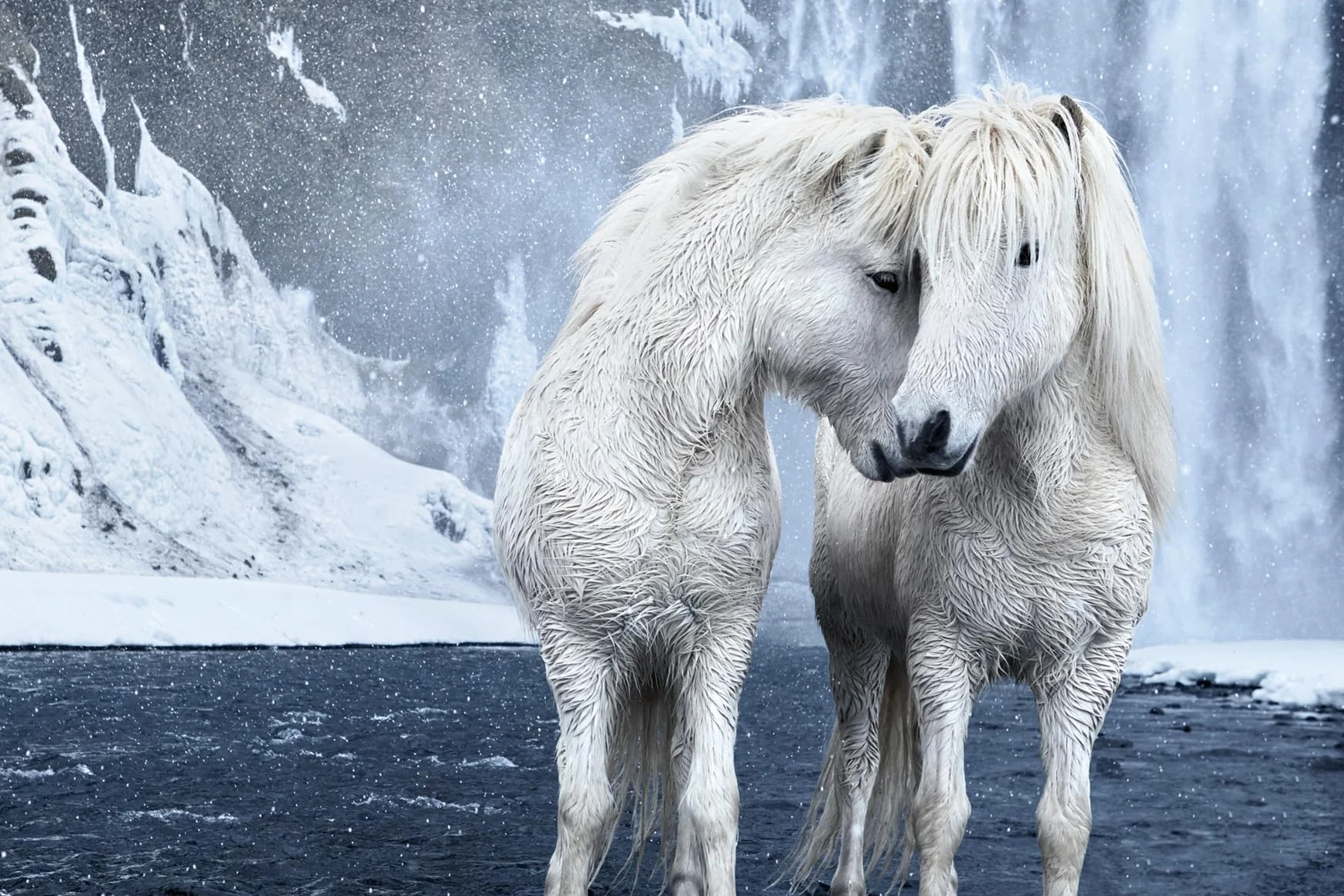 Untamed Spirits: Horses from Around the World