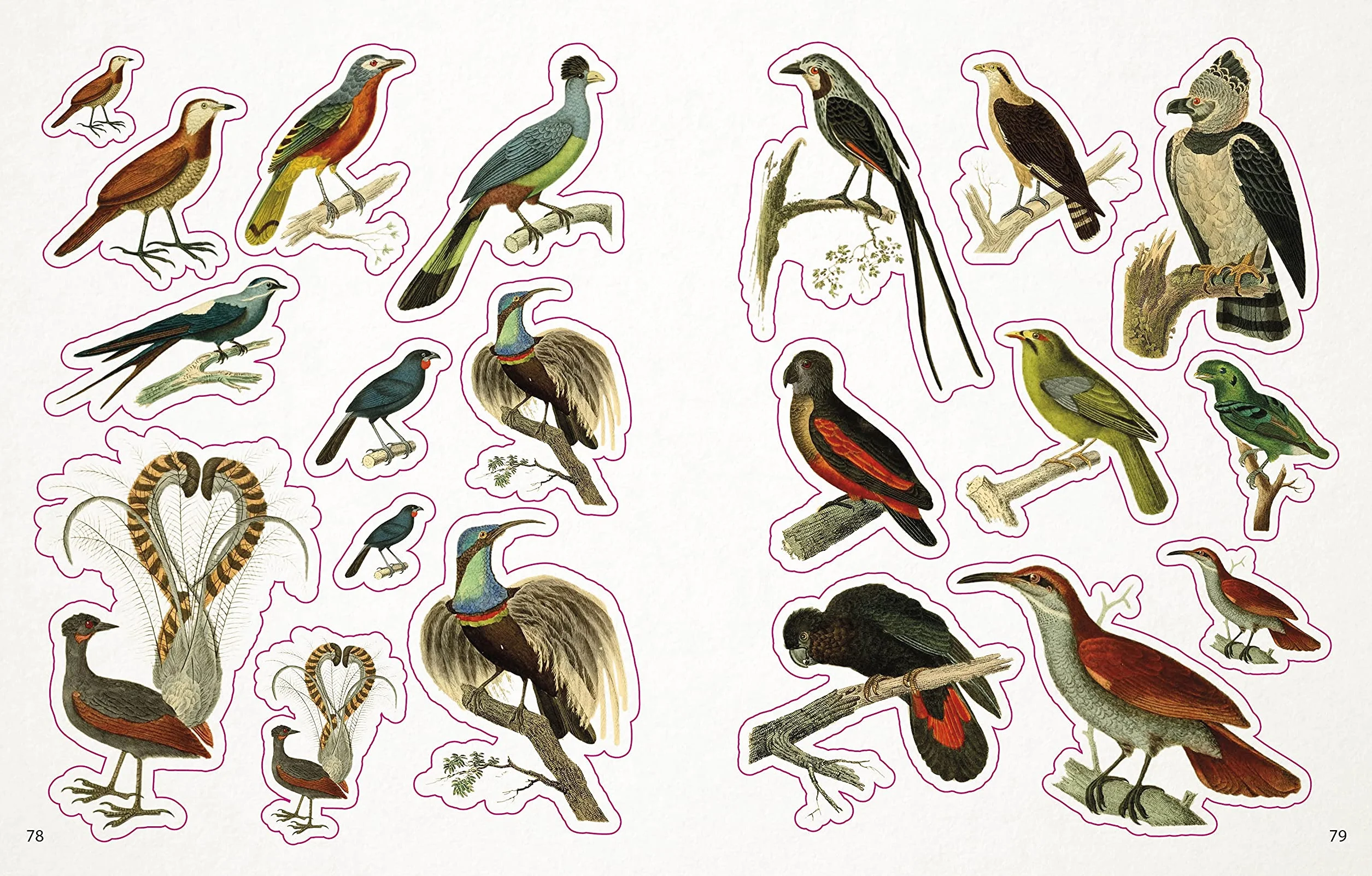 The Bees, Birds & Butterflies Sticker Anthology: With More Than 1,000 Vintage Stickers