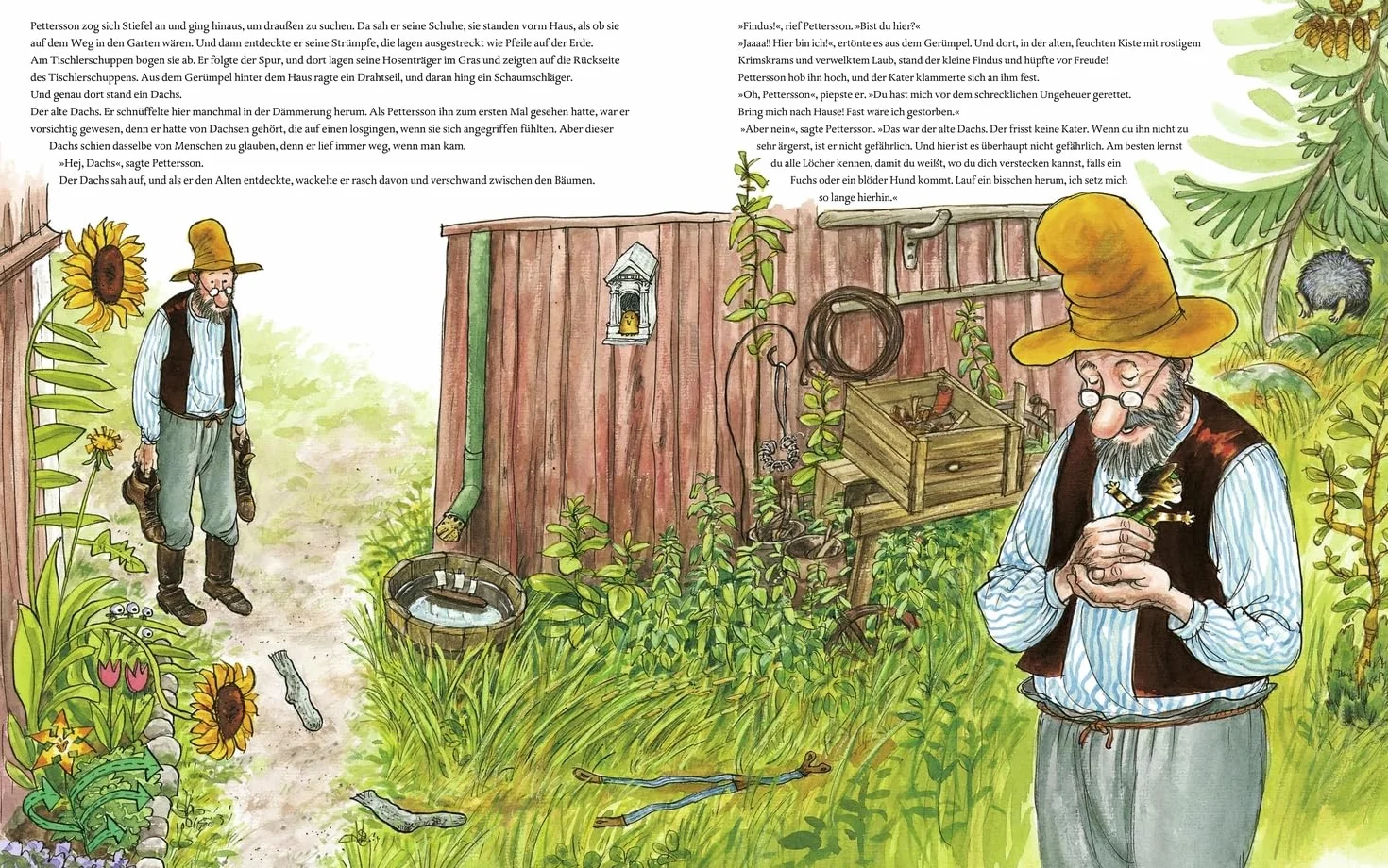 Pettersson und Findus. Wie Findus zu Pettersson kam: Riesen-Pappbilderbuch