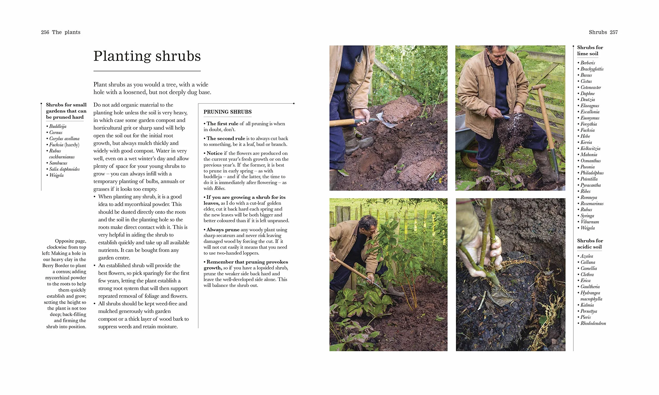 The Complete Gardener: A Practical Guide to Gardening