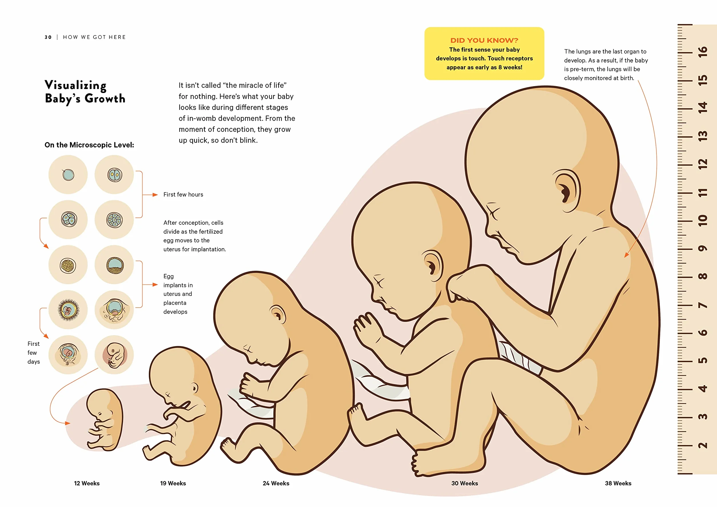 How to Dad: An Illustrated Instruction Manual for First Time Fathers