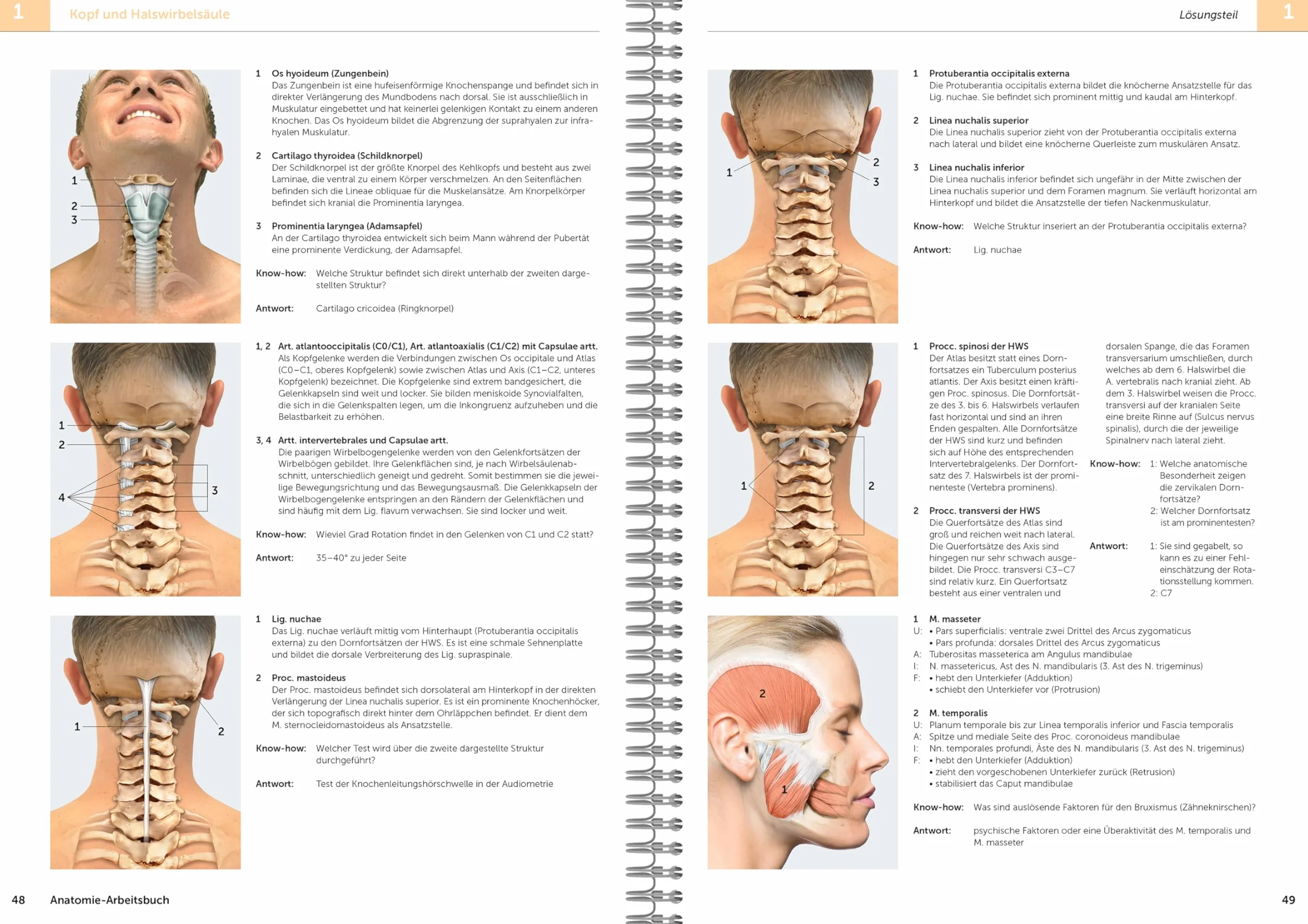 Anatomie-Arbeitsbuch: Anatomie aktiv erfahren und verstehen