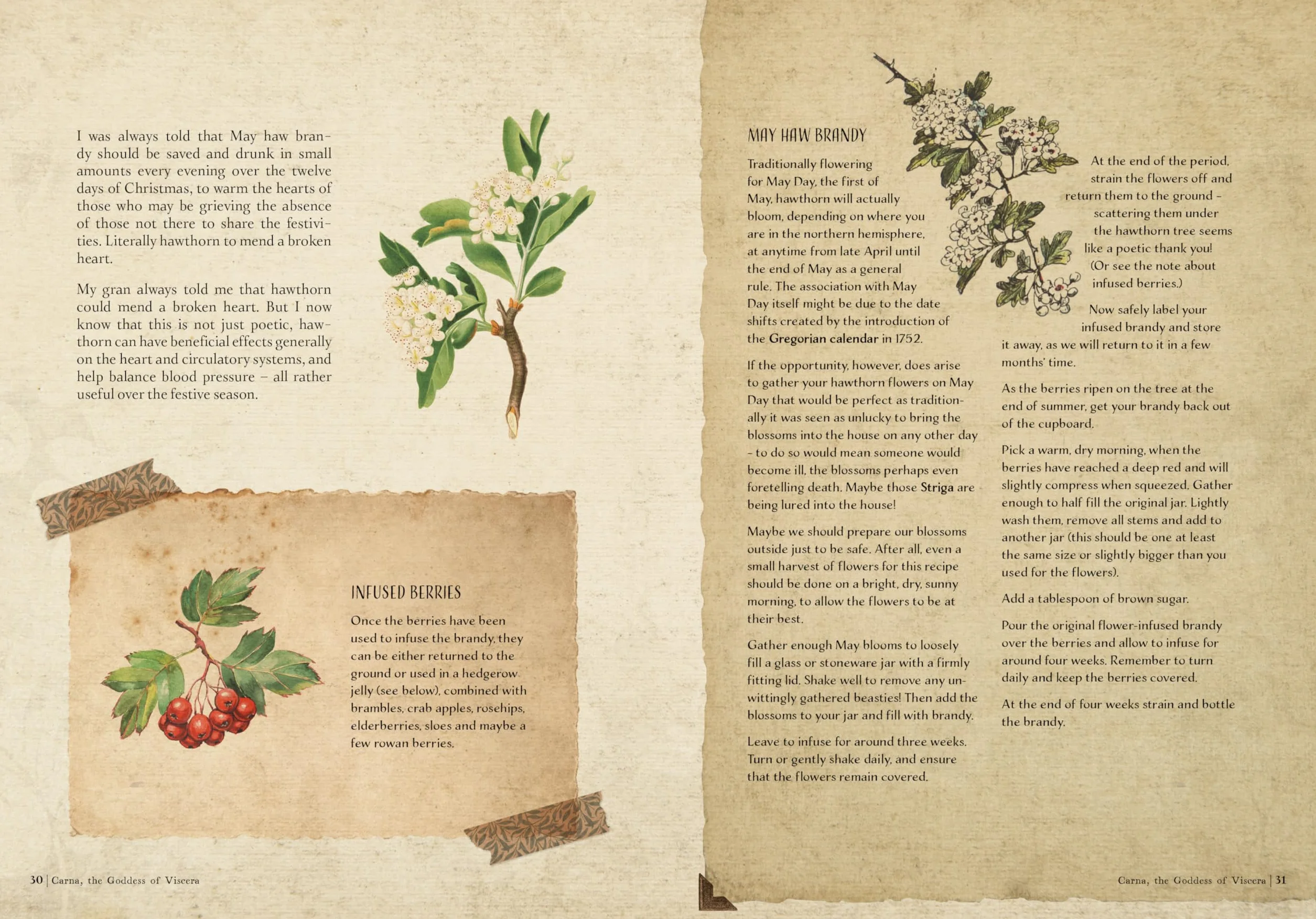 The Time Traveller's Herbal: Stories and Recipes from the Historical Apothecary Cabinet