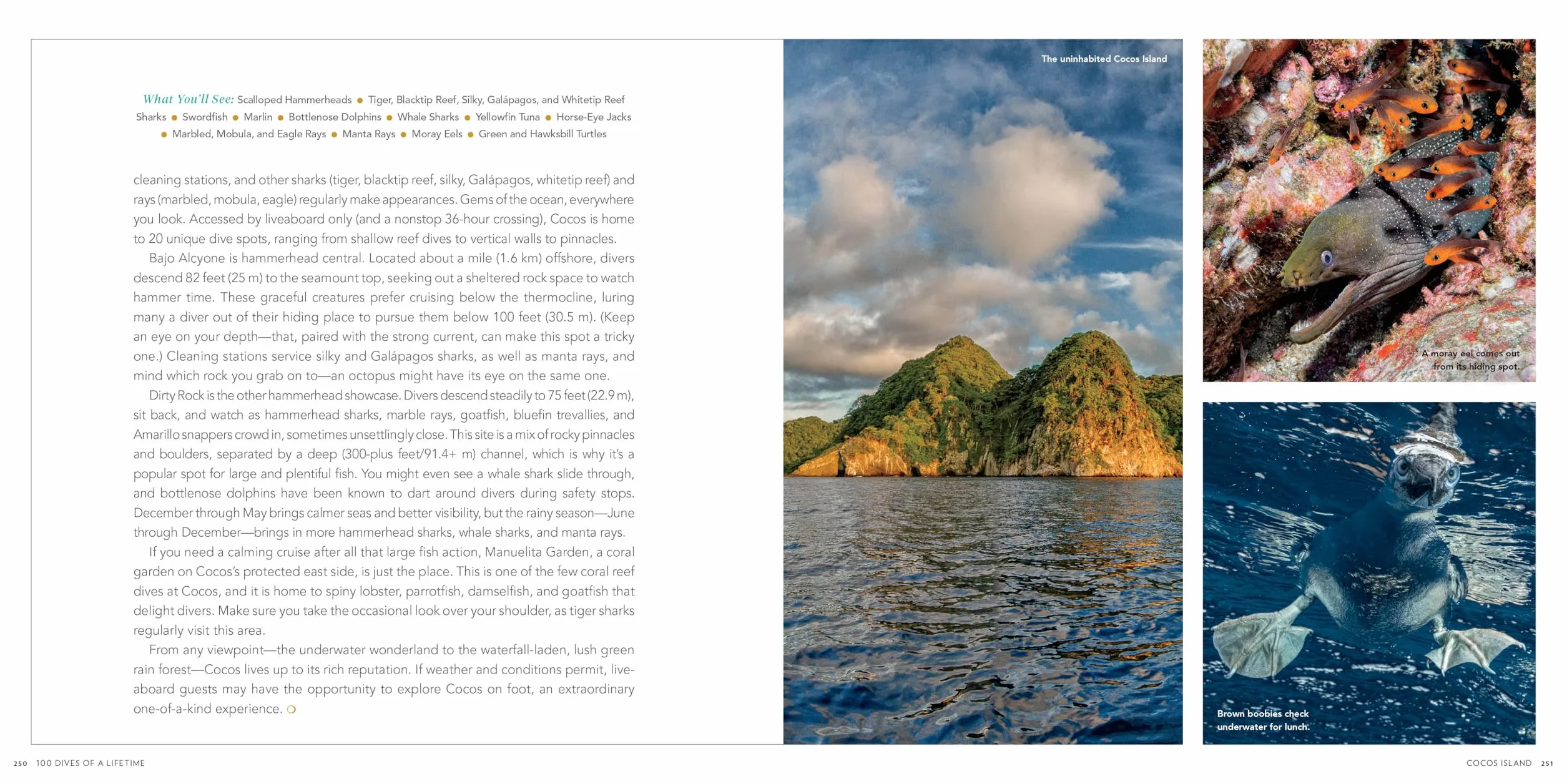 100 Dives of a Lifetime: The World's Ultimate Underwater Destinations
