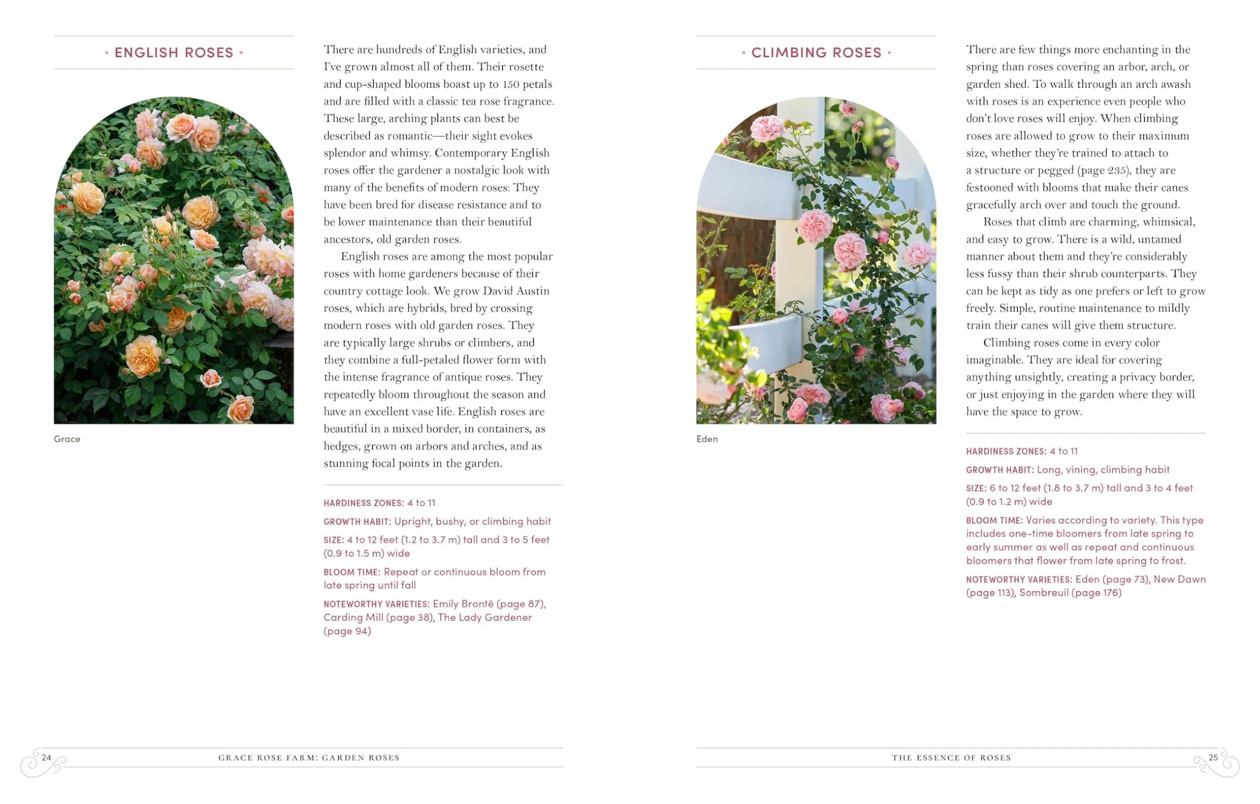 Grace Rose Farm: Garden Roses: Growing & Arranging Spectacular Blooms