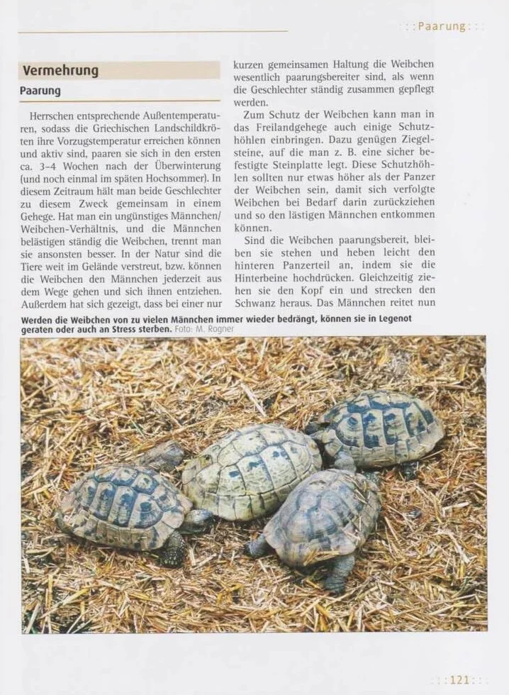 Griechische Landschildkröten: (Testudo hemanni hermanni, T. h. boettergi, T. h. hervegovinensis). Verbreitung, Lebensräume, Haltung und Vermehrung