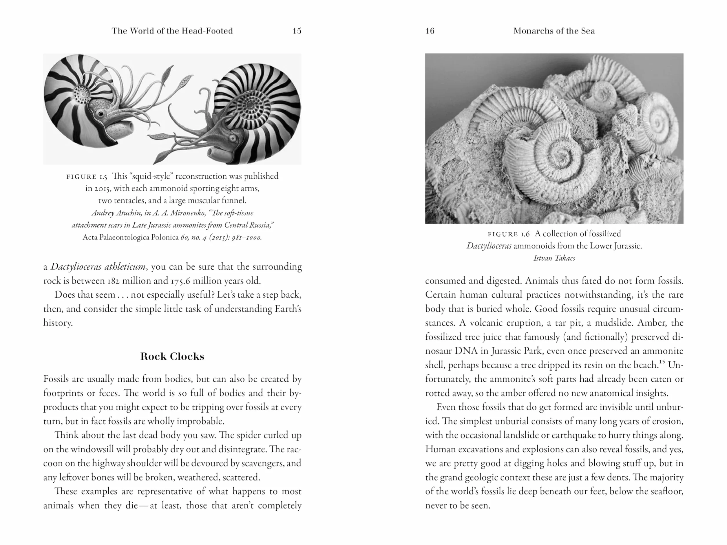 Monarchs of the Sea: The Extraordinary 500-Million-Year History of Cephalopods