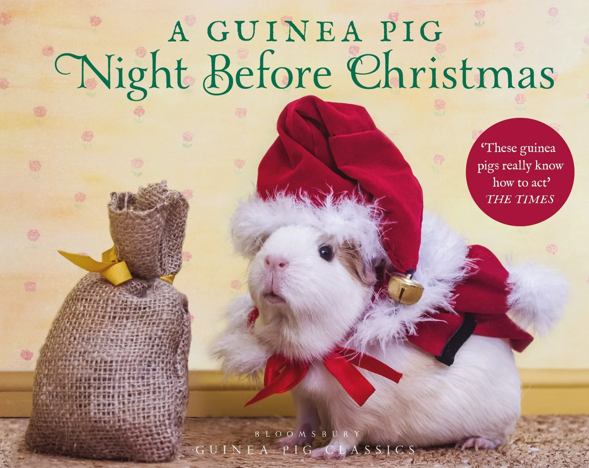 A Guinea Pig Night Before Christmas