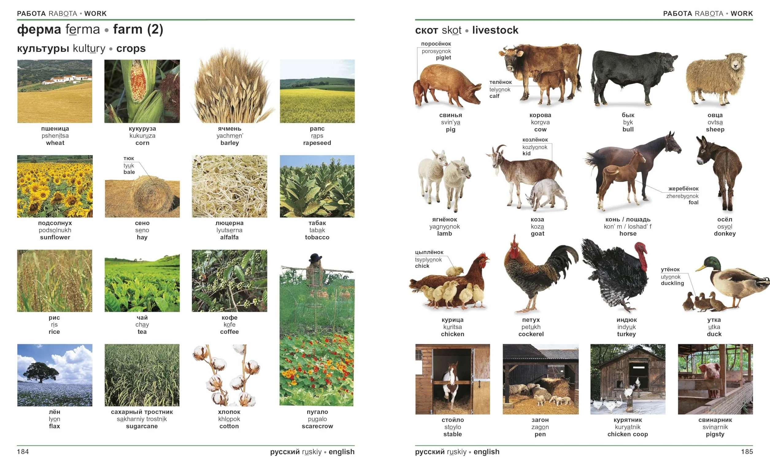 Russian English Bilingual Visual Dictionary
