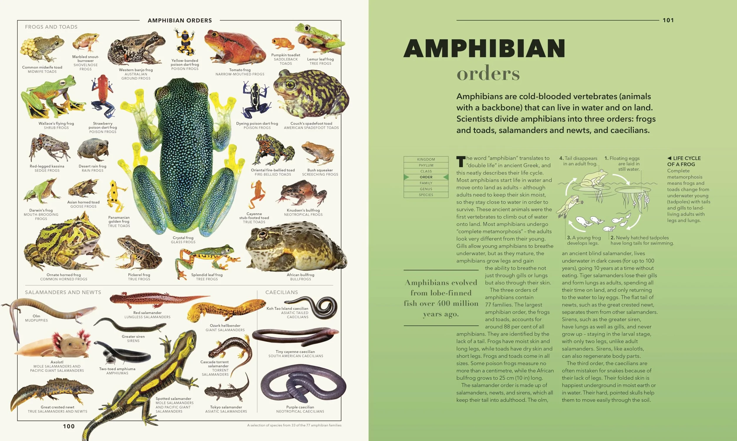 Knowledge A Visual Compendium: Making Sense of our World