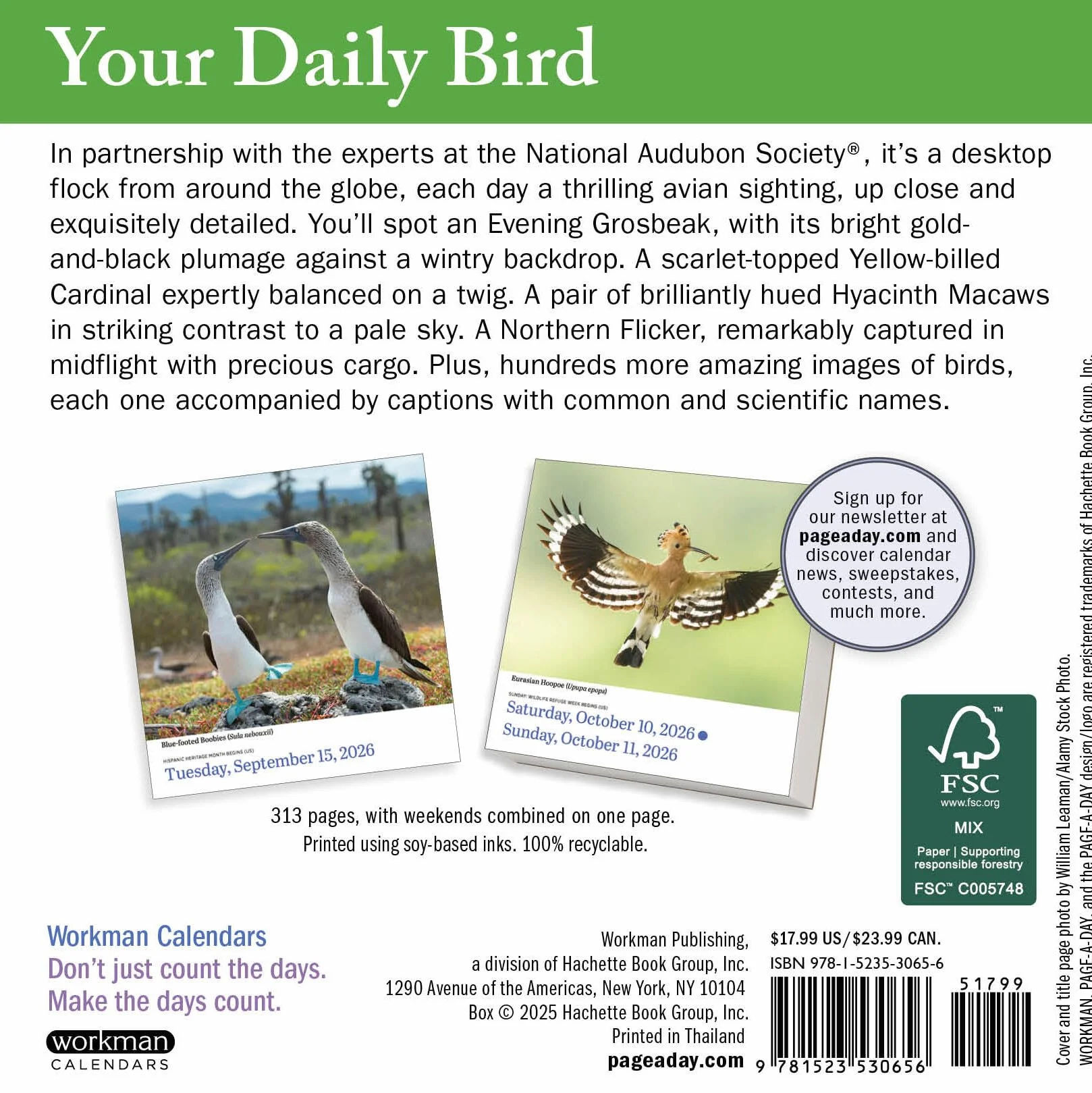 Audubon Birds Page-A-Day Calendar 2026