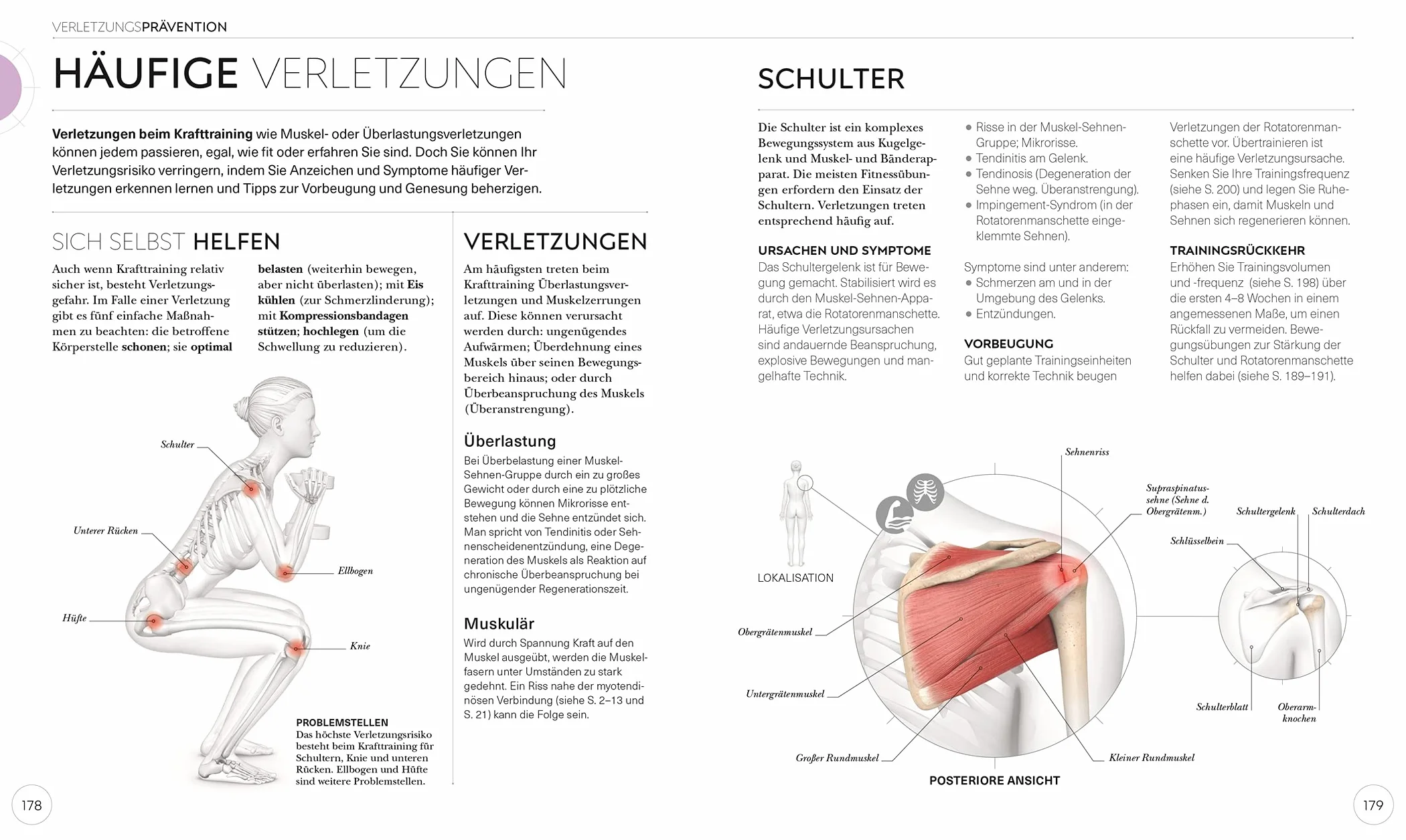 Krafttraining - Die Anatomie verstehen: Mit Übungen zum gezielten Muskelaufbau für einen definierten Körper