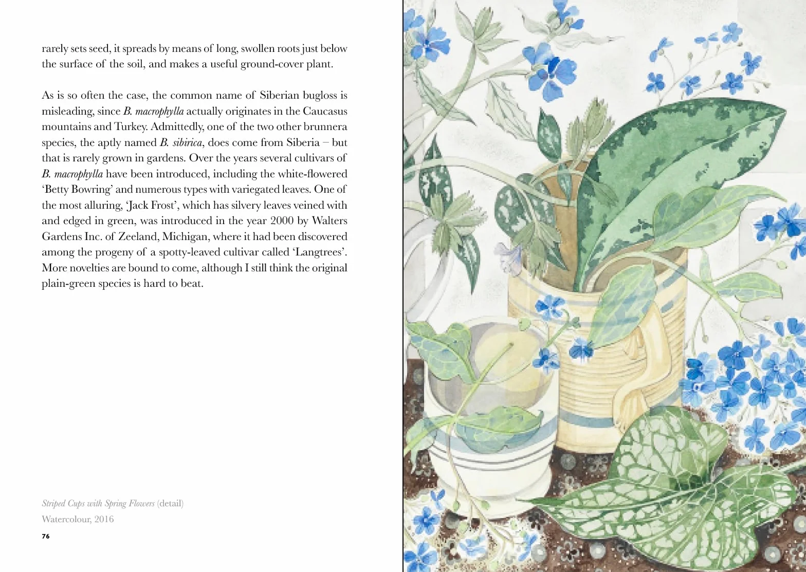 The Book of Garden Flowers