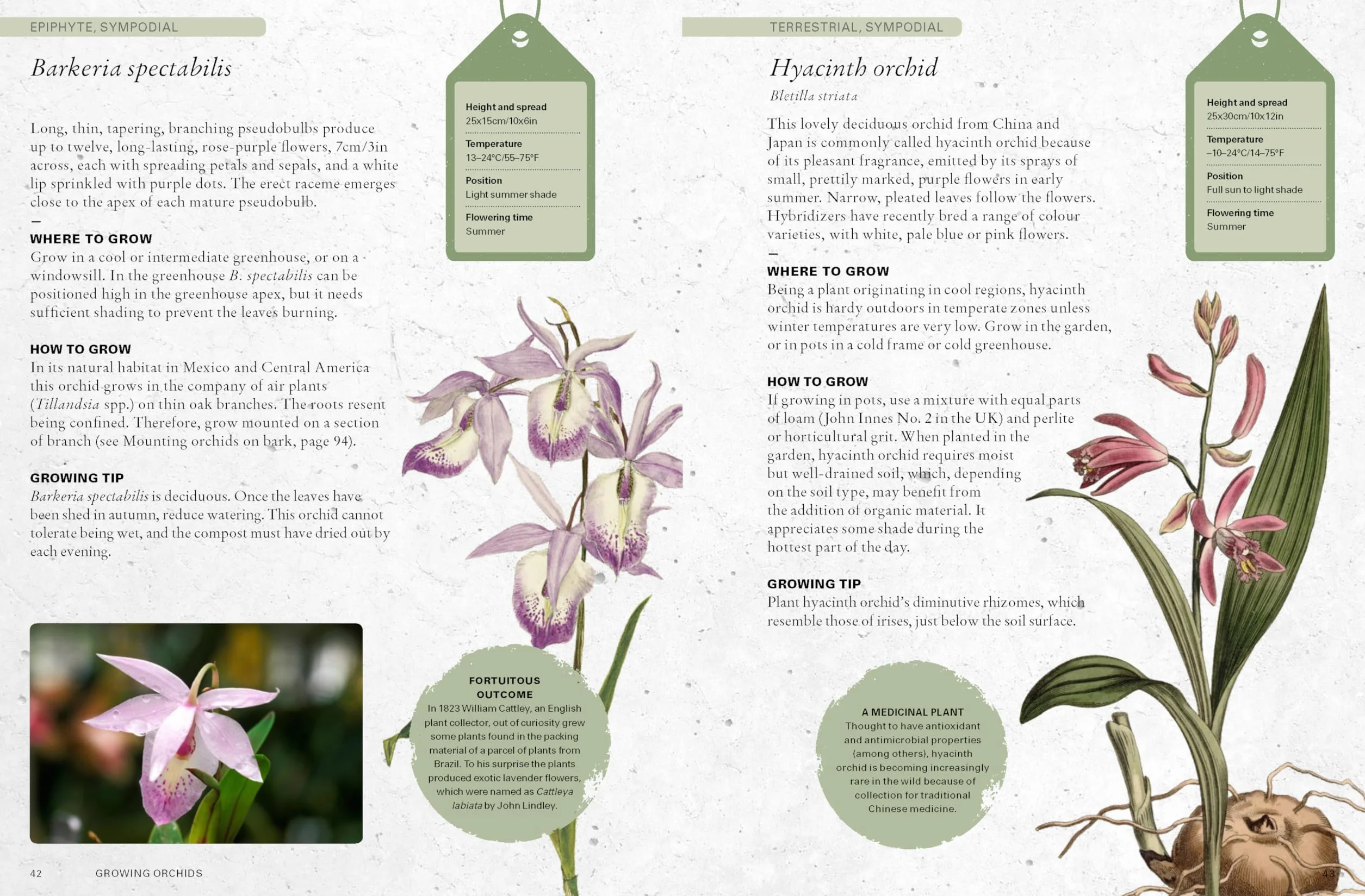 The Kew Gardener's Guide to Growing Orchids Volume 6