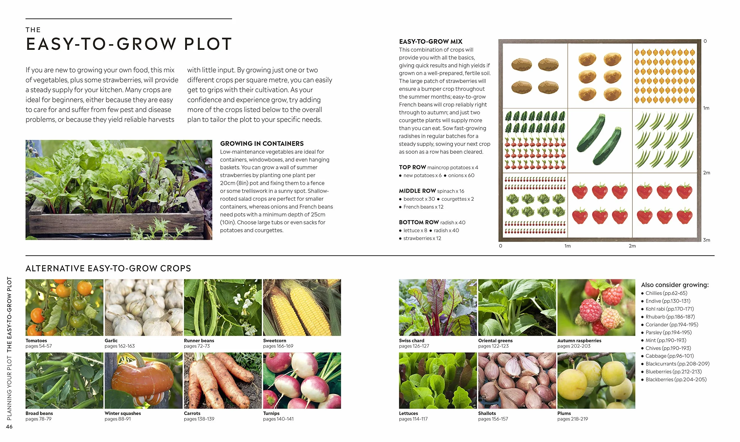 RHS Step-by-Step Veg Patch: Foolproof Guide to Growing Fruit & Veg