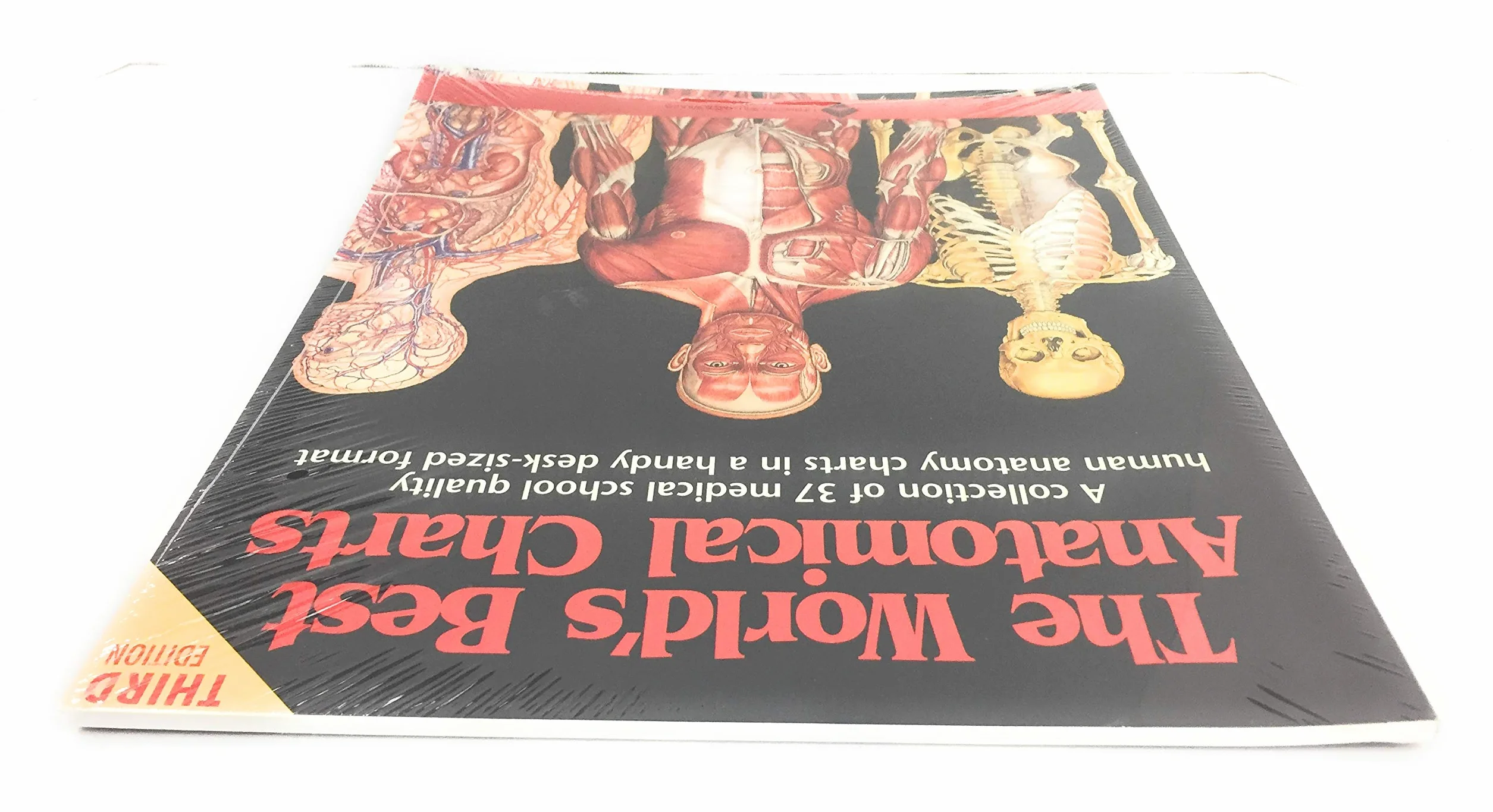 Anatomical Charts