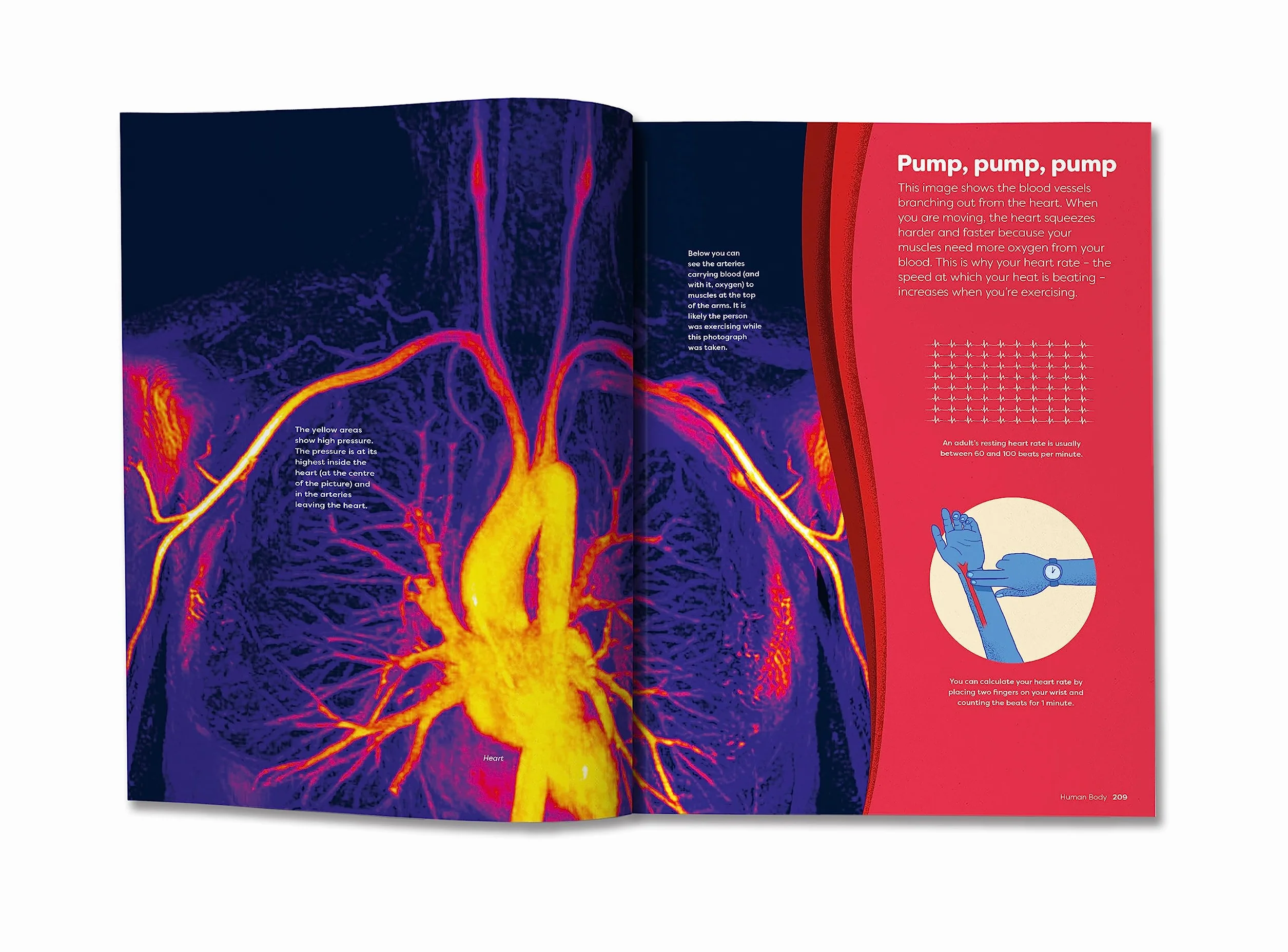 Britannica's Encyclopedia Infographica: 1,000s of Facts & Figures-about Earth, space, animals, the body, technology & more-Revealed in Pictures