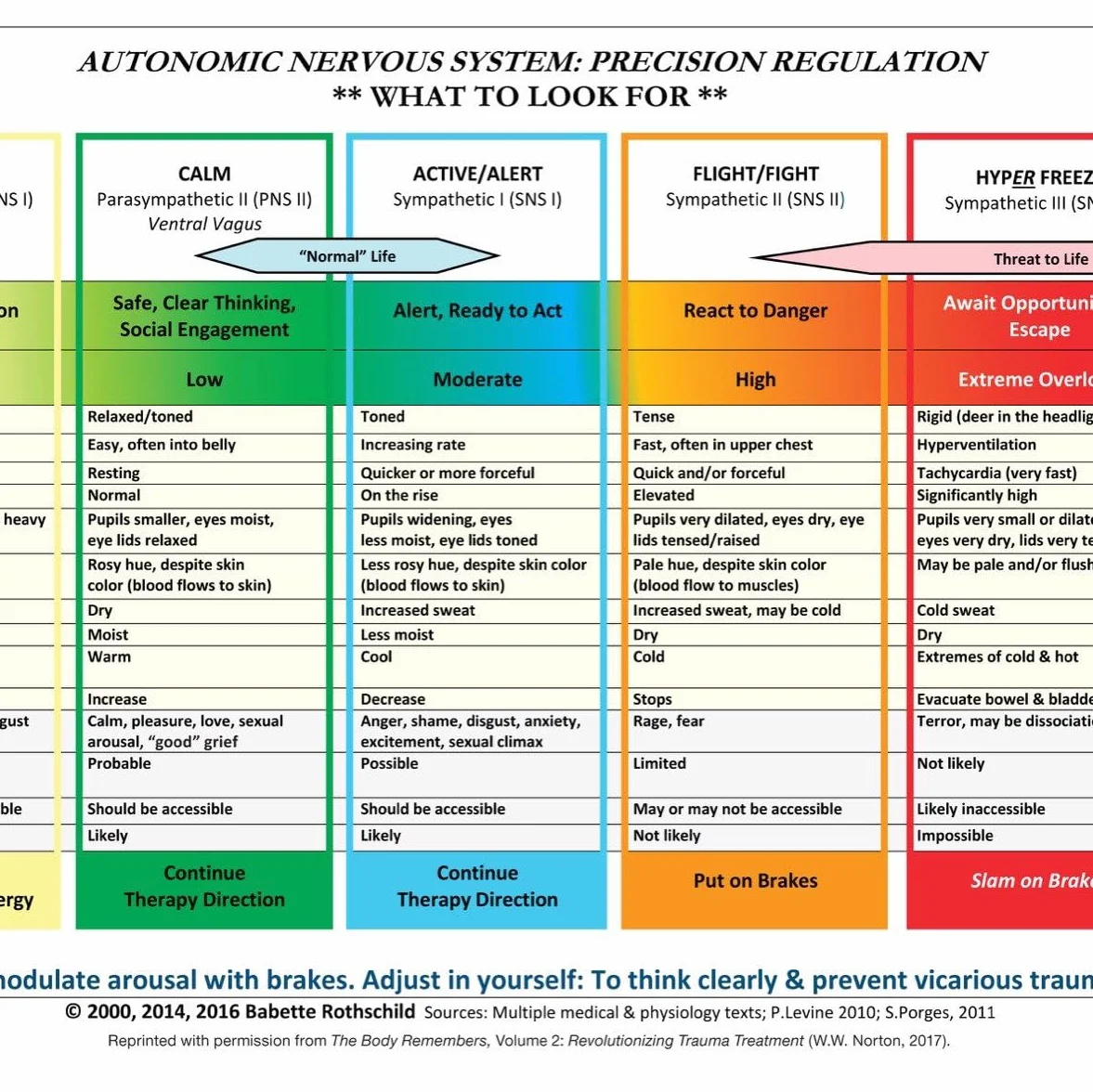 Autonomic Nervous System Table: Laminated Card