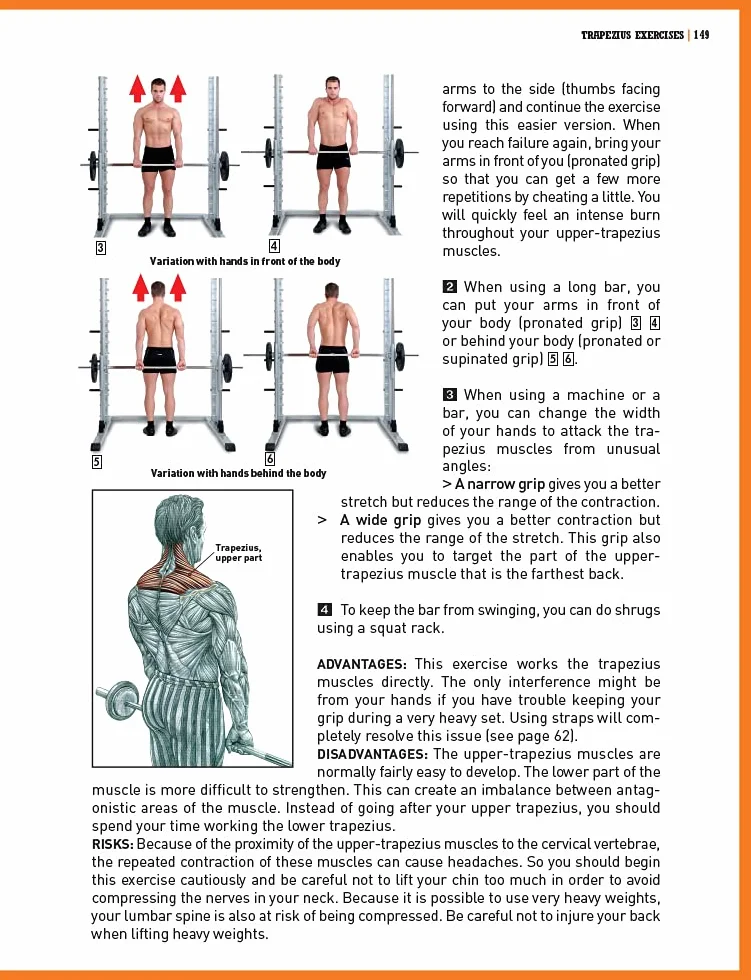 The Strength Training Anatomy Workout II: Building Strength and Power with Free Weights and Machines: v. 2
