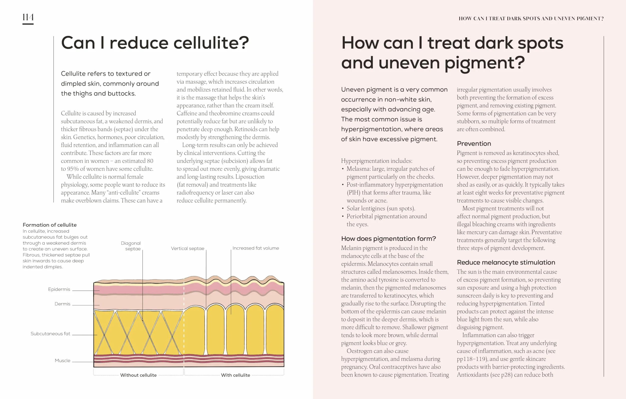 The Science of Beauty: Debunk the Myths and Discover What Goes into Your Beauty Routine
