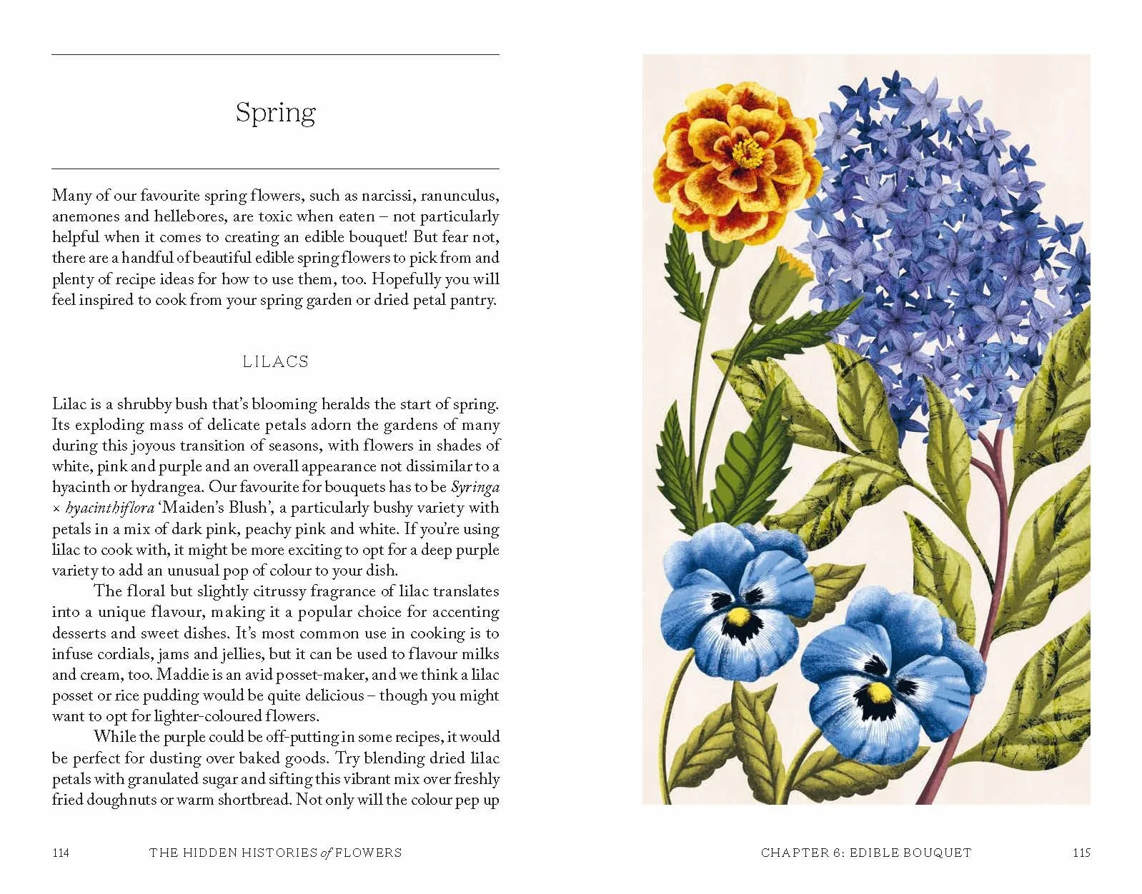 The Hidden Histories of Flowers: Fascinating Stories of Flora