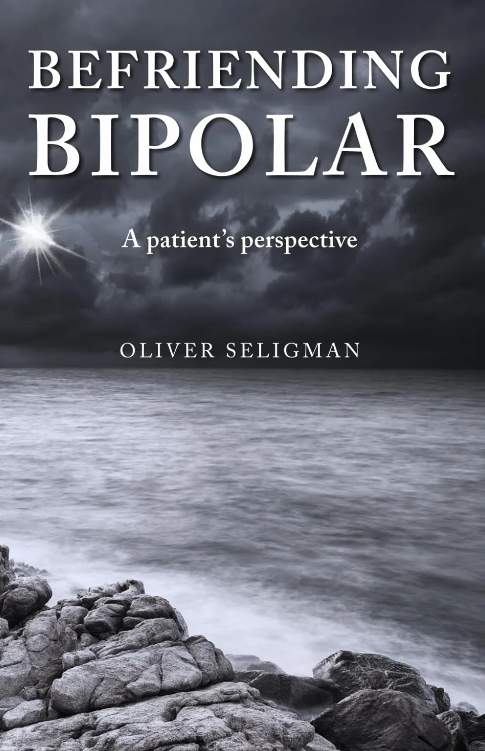 Befriending Bipolar: A patient's perspective